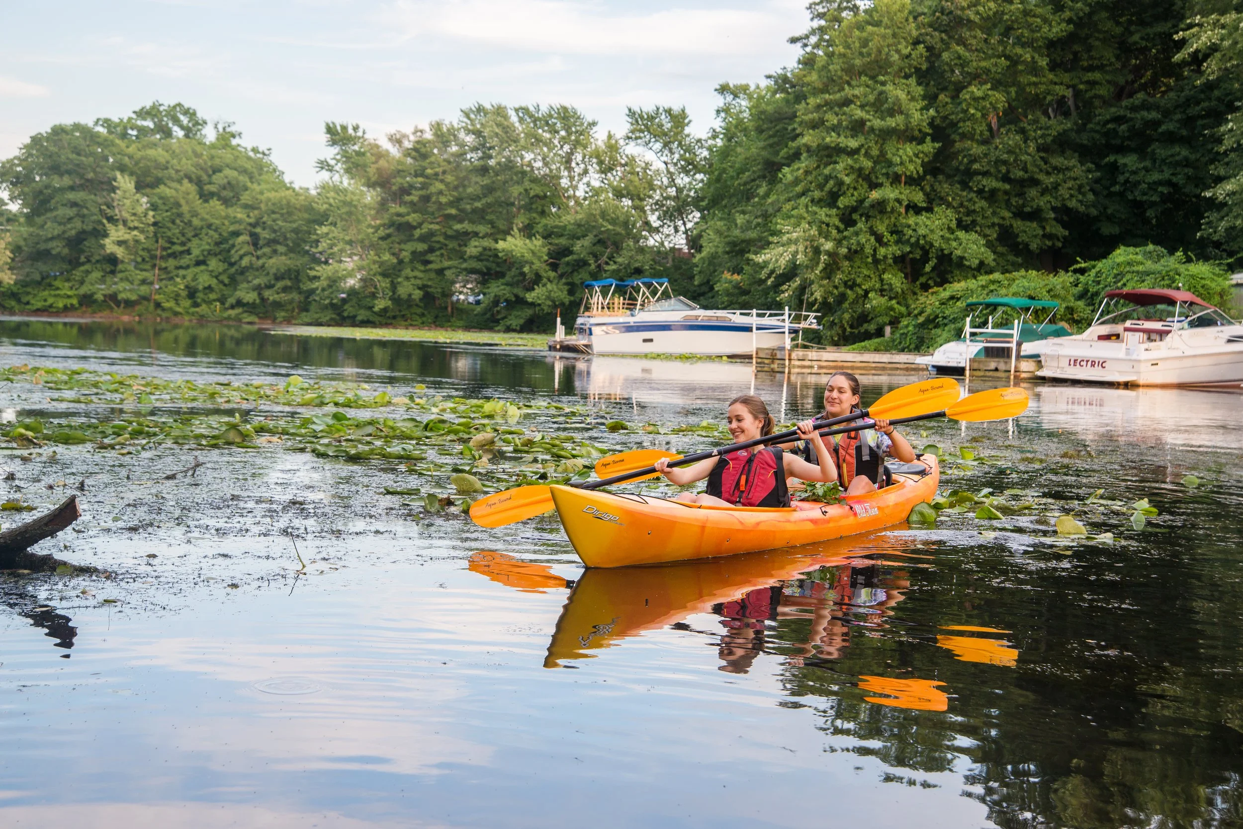 Water Chestnut Monitoring Paddle