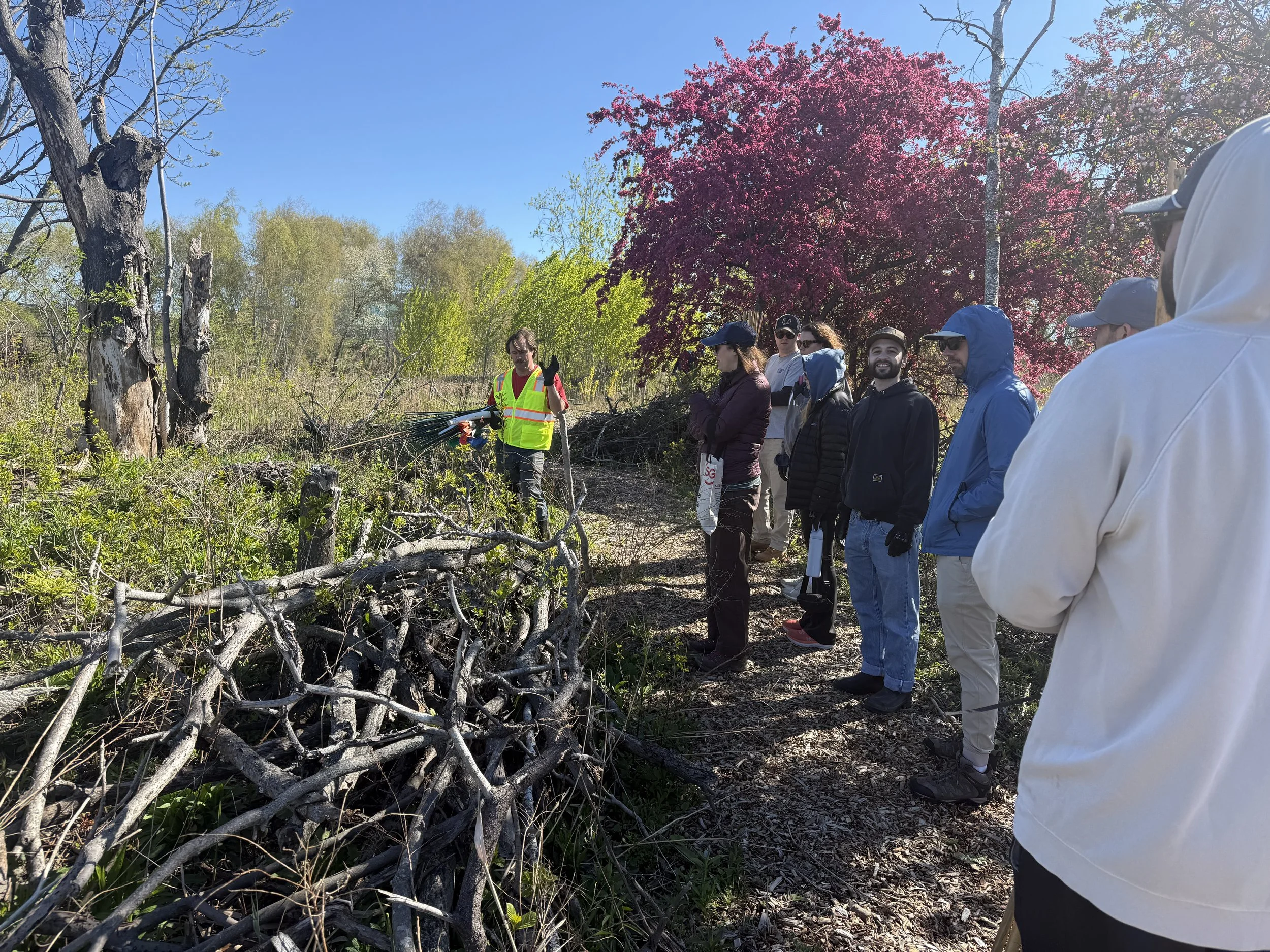 Northeast Miniforest Tour of Gateway Park &amp; Riverbend Park