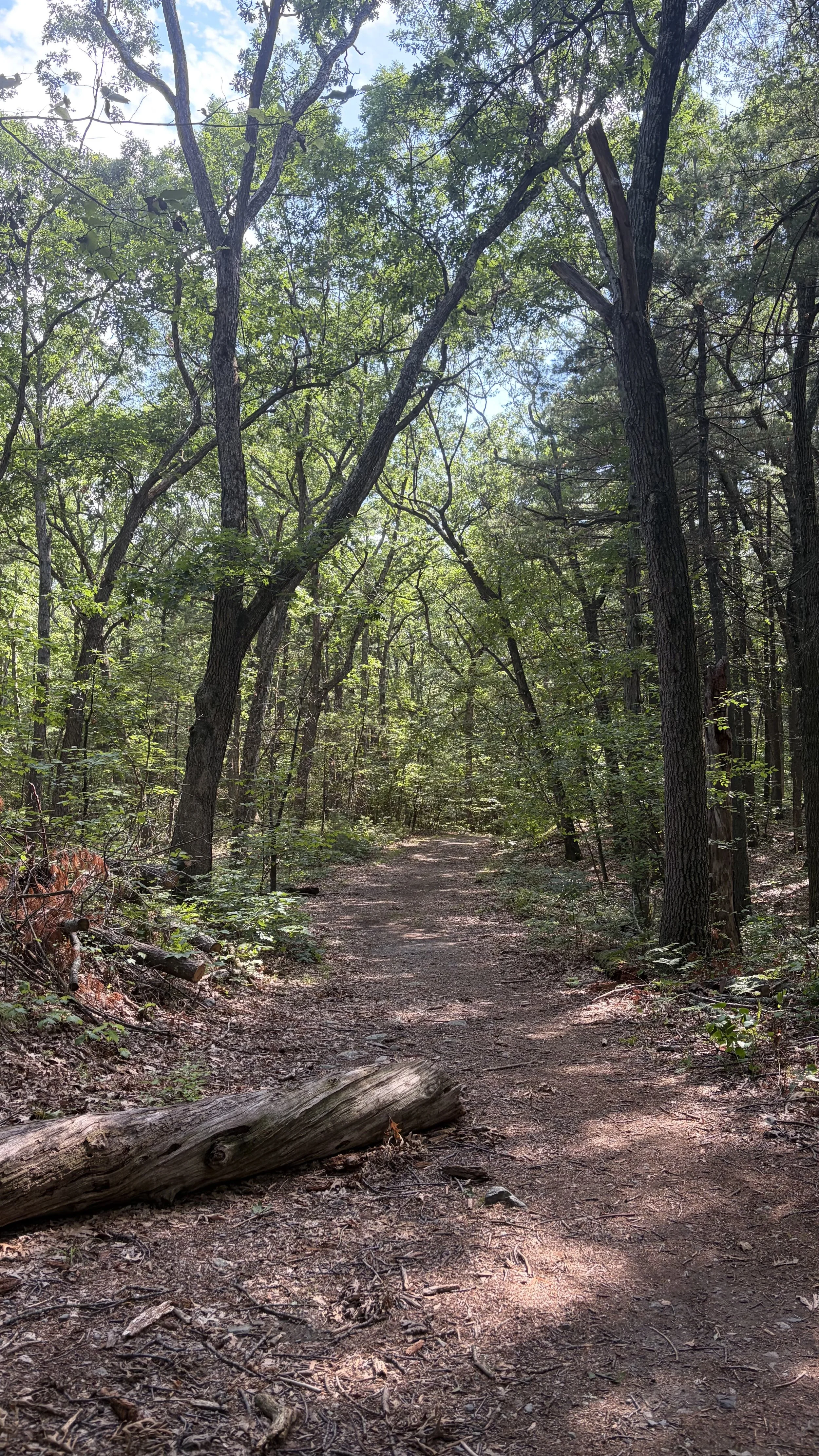 Eco Art Hike at Greenwood Park
