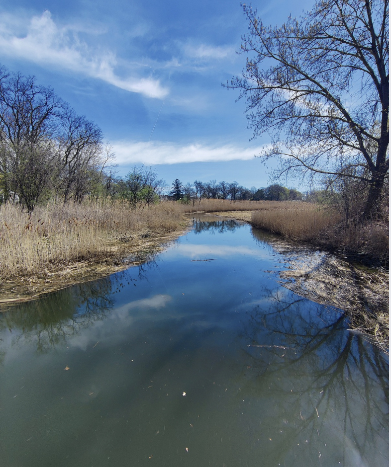 Mill Creek Walk and Talk