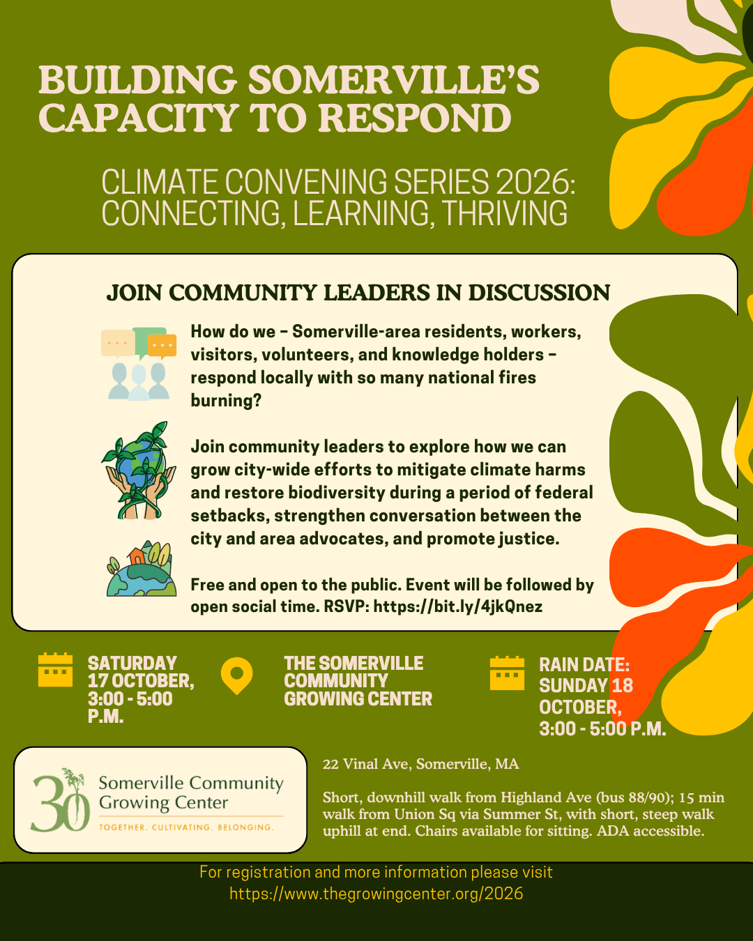 Building Somerville's Capacity to Respond