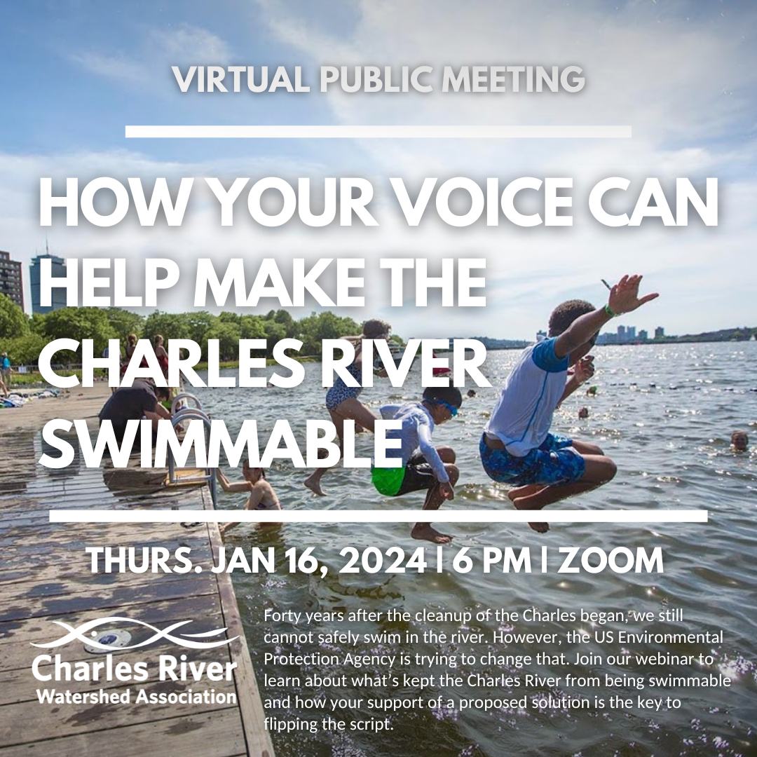 How Your Voice Can Help Make The Charles River Swimmable with CRWA ...