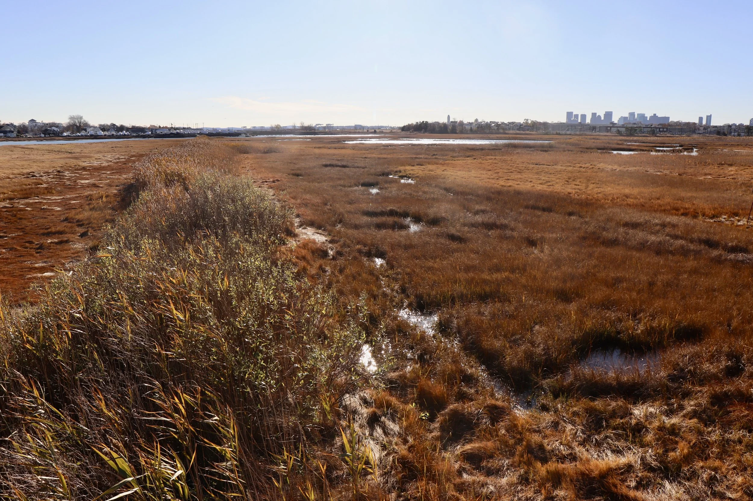 A raised embankment with tall vegetation stretches into the marsh.