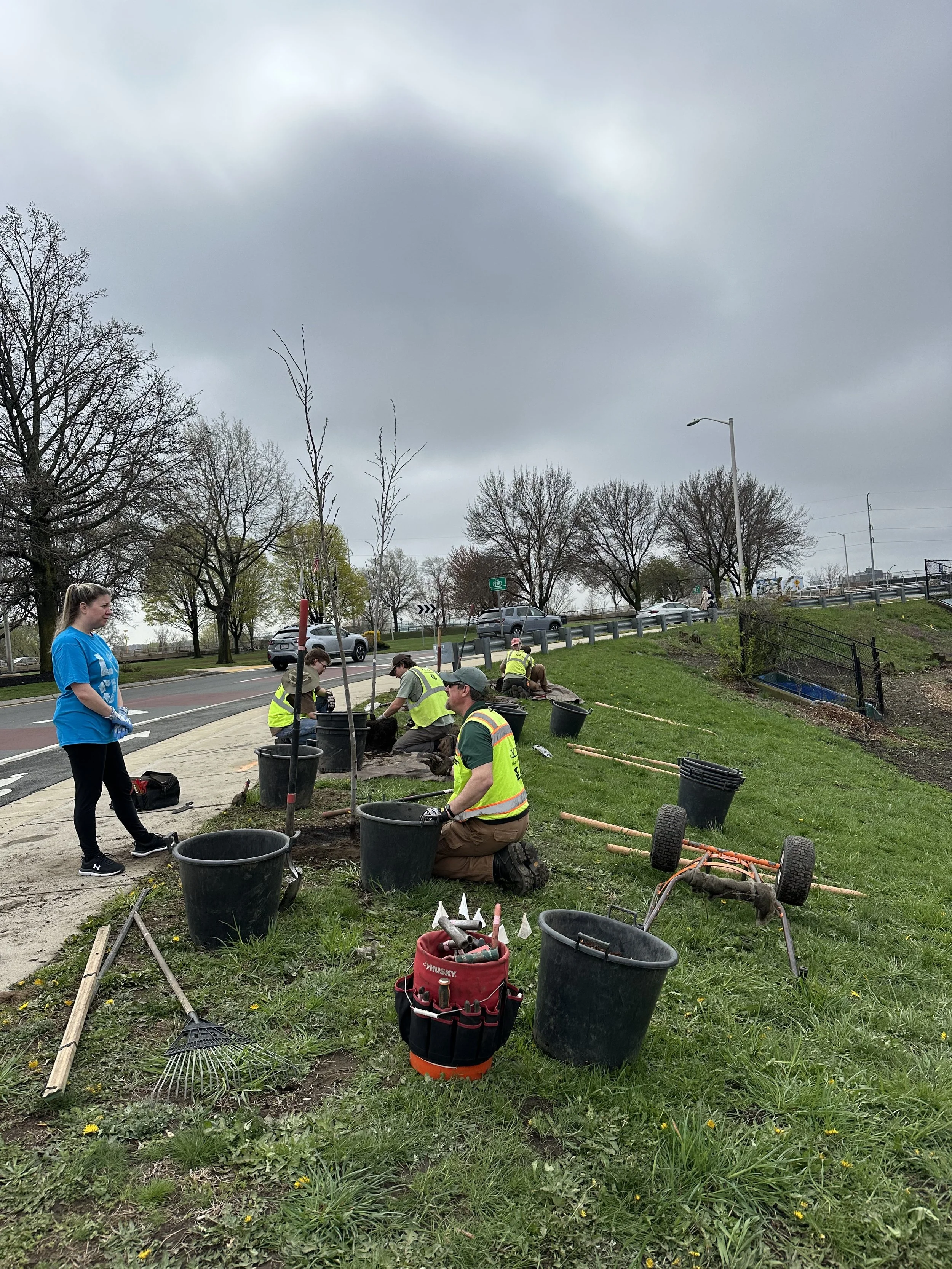 Tree planting crew works along a roadside with buckets, tools, and newly planted trees.