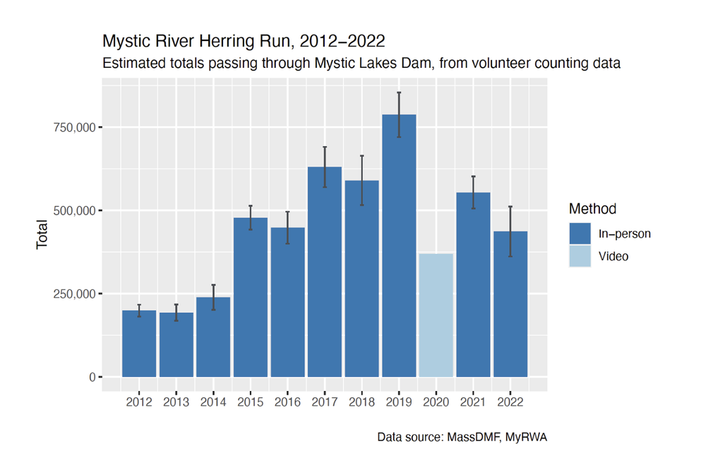 2022 Mystic River Herring Run Largest in the State — Mystic River Watershed Association