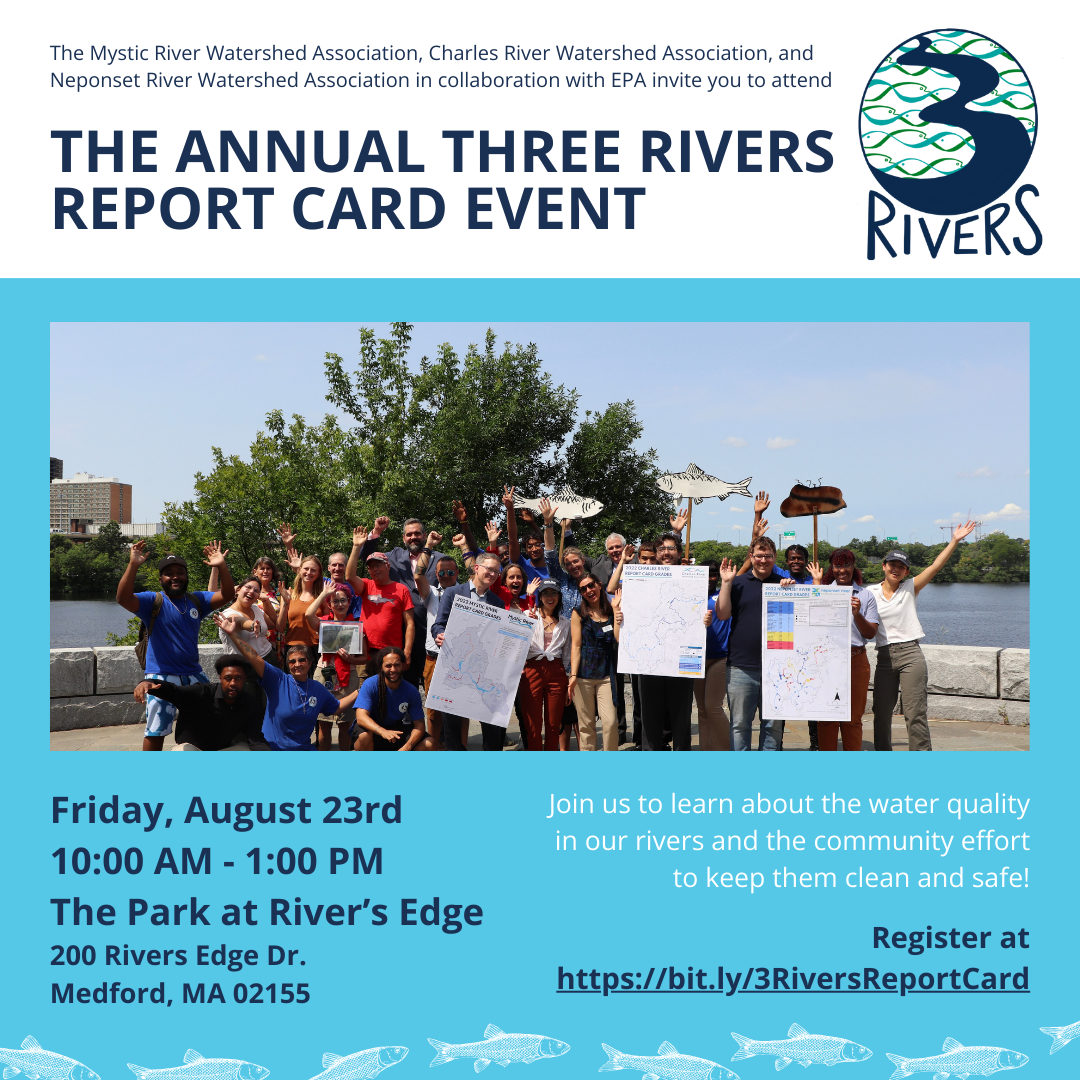 2024 Three Rivers Report Card - Water Quality in the Charles, Mystic ...
