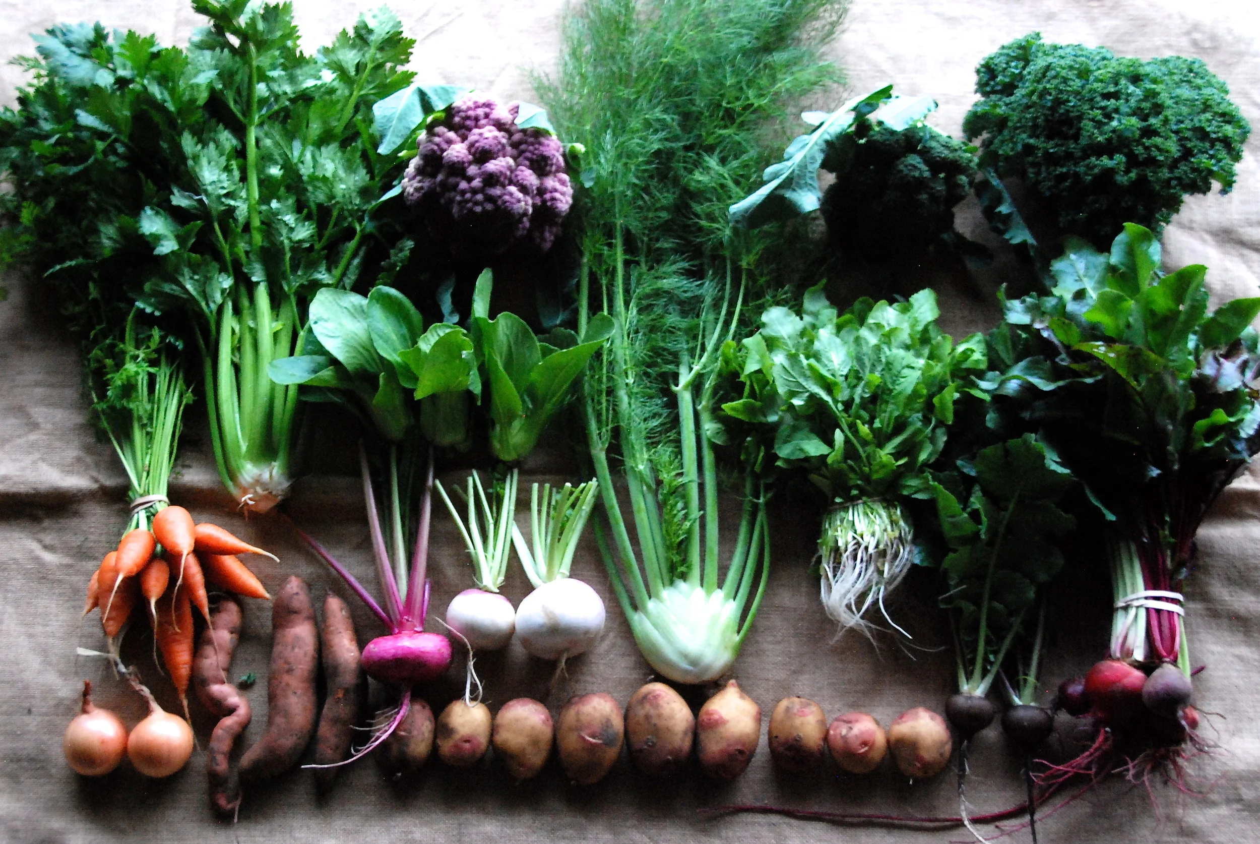 A randomly selected CSA share.