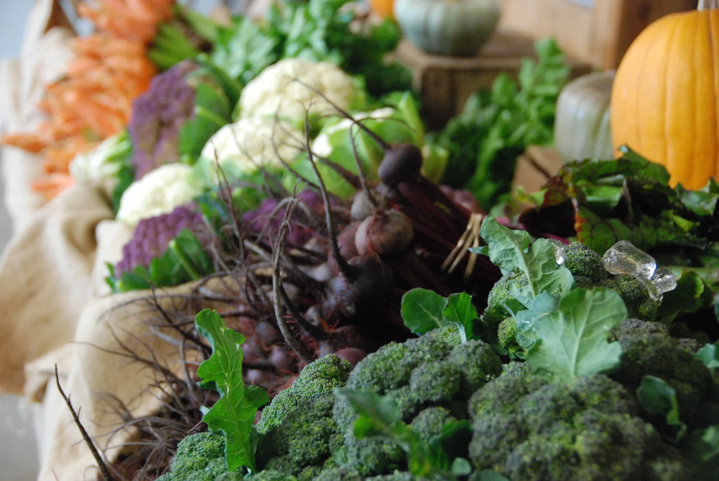 Transition Farm - Market Style Farm Pick Up - June 2016. This was a huge success last year and we look forward to tables piled with the colours of the season at CSA pick up days.