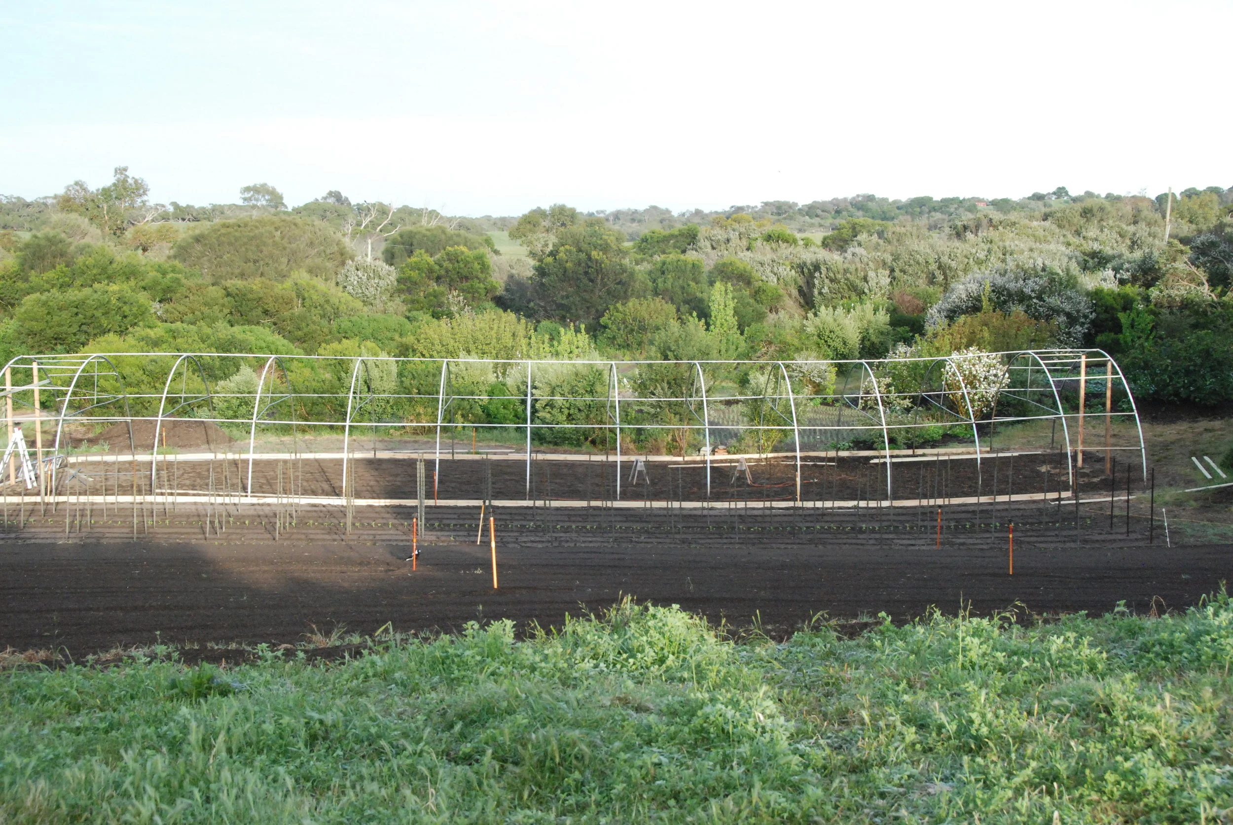 Polytunnel being built in Front Paddock