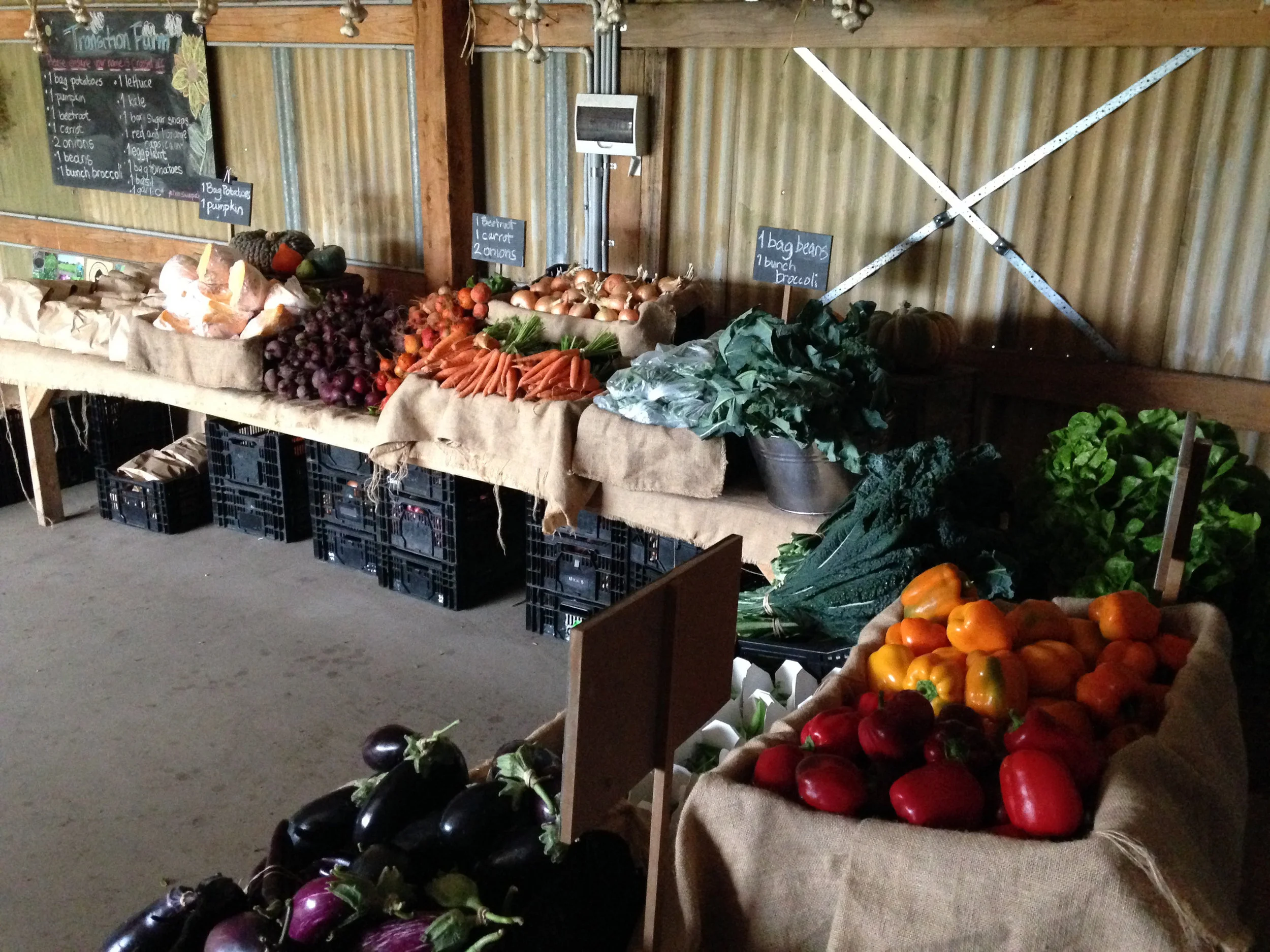 Market style farm pick up at transition farm