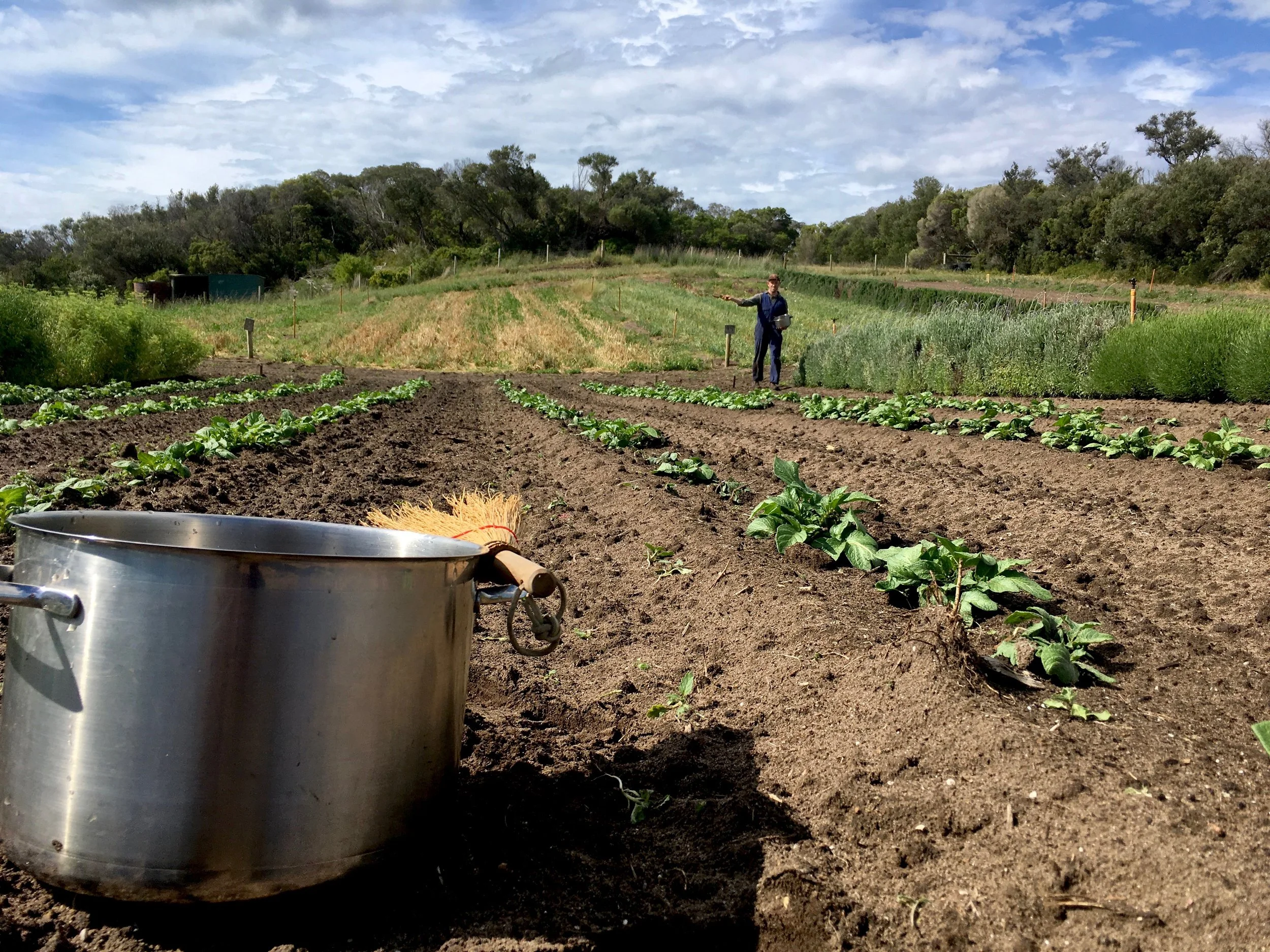 Applying biodynamic 500 - Nov 2018