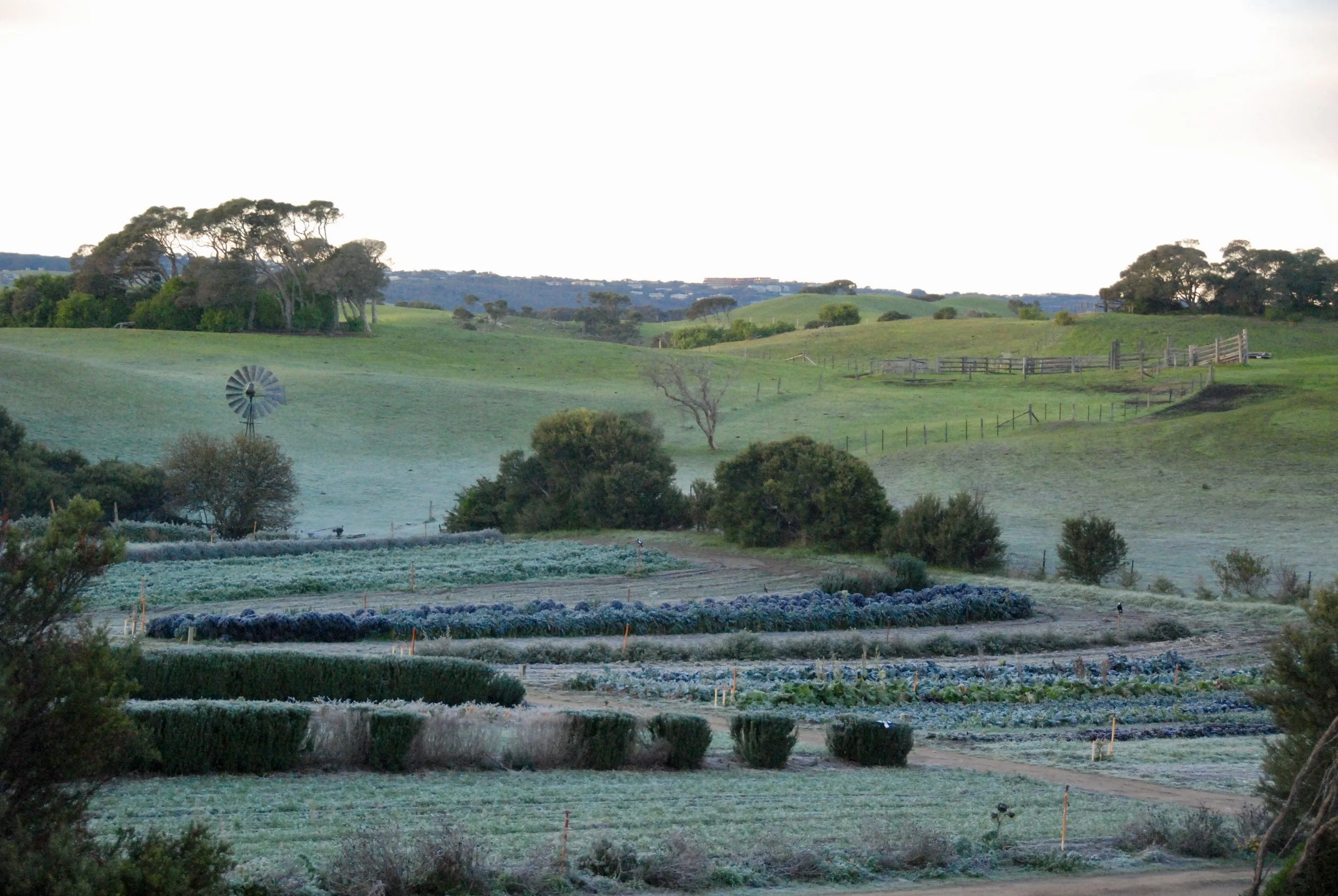 DSC_1764.jpg