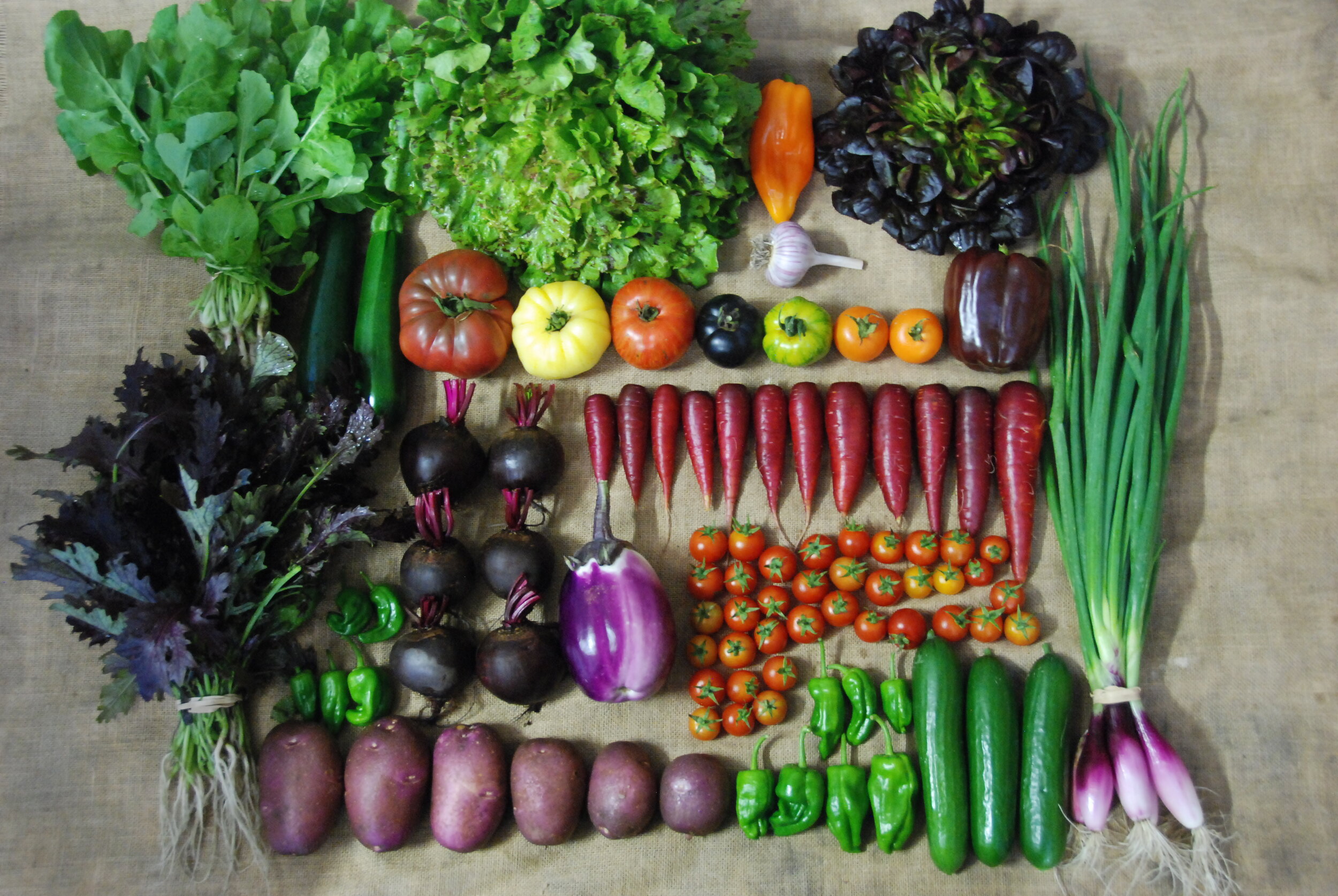 CSA Weekly Box picture