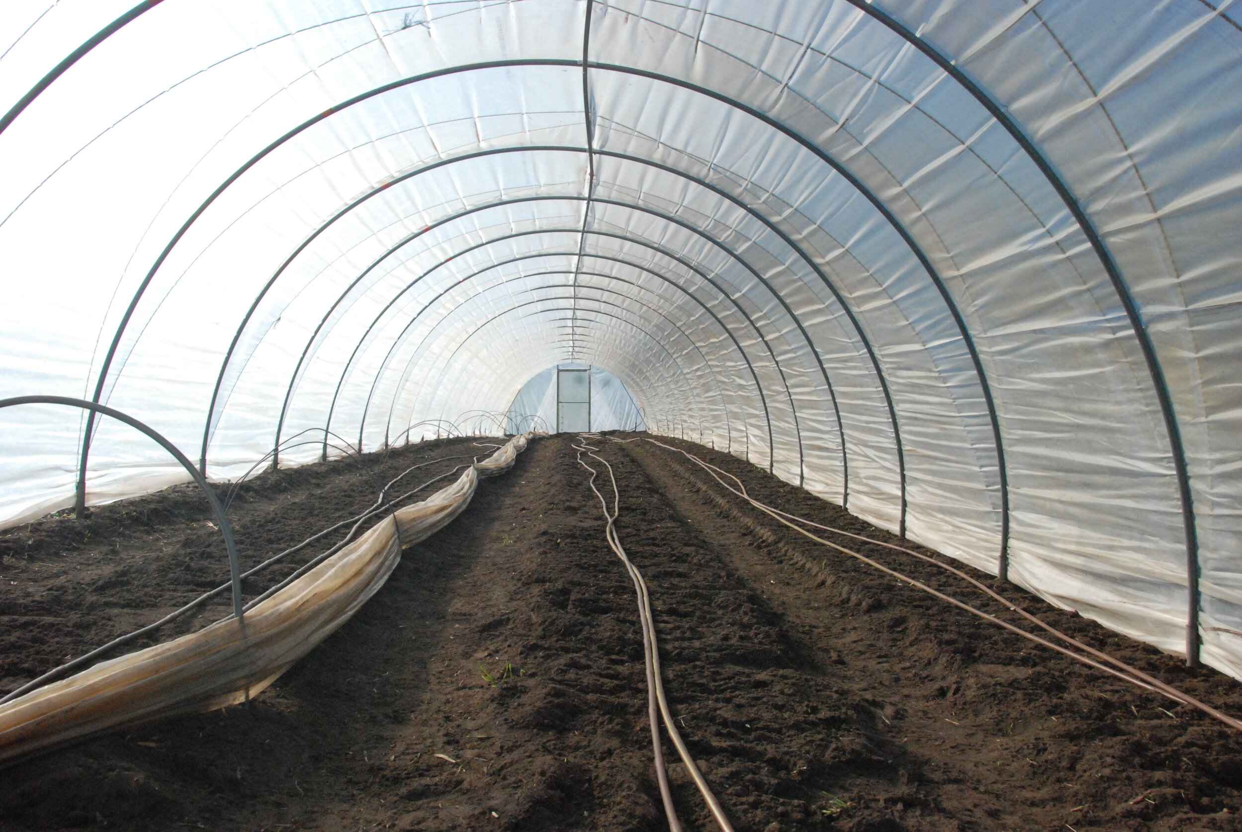 caterpillar tunnel ready for planting