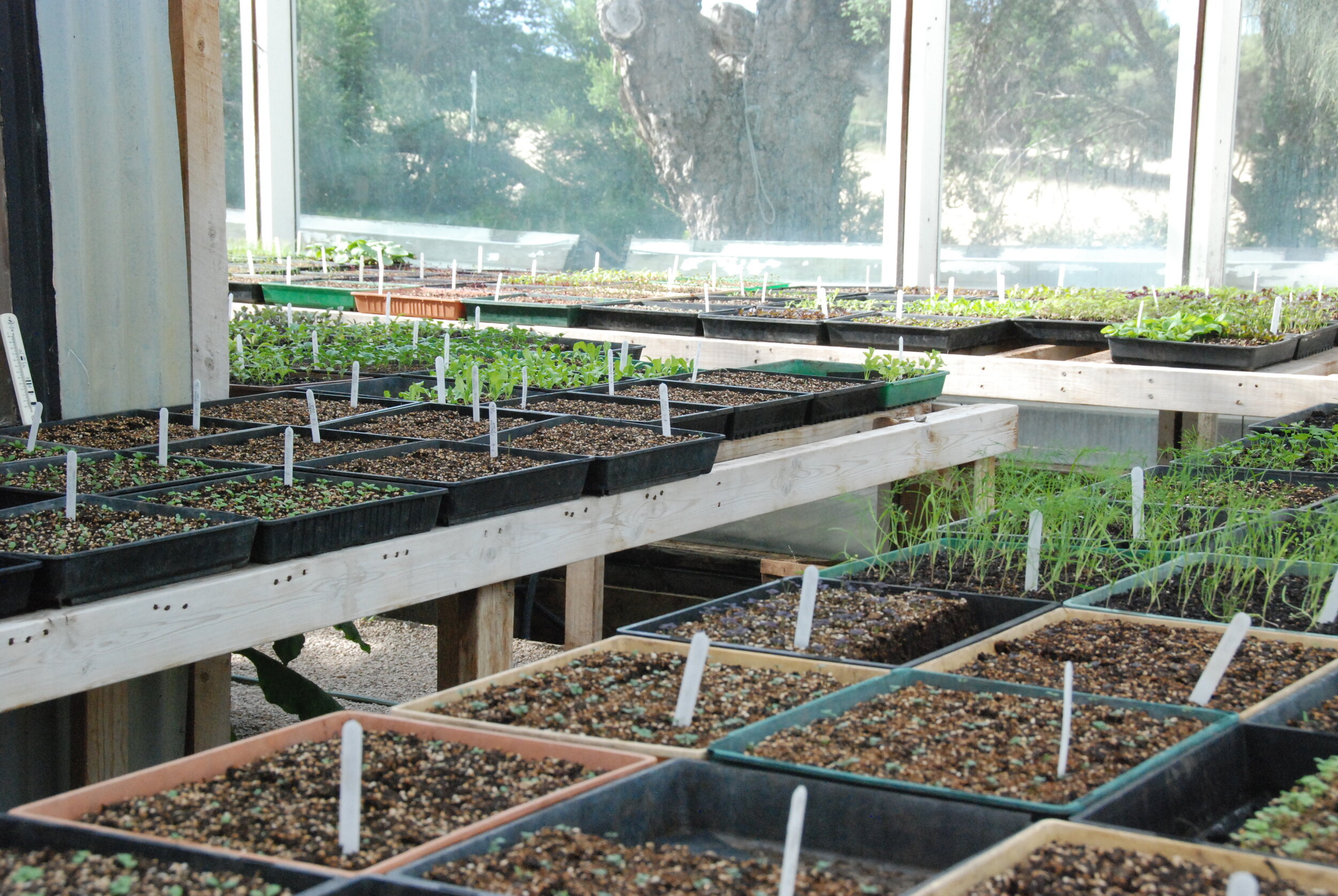 Farm Glasshouse