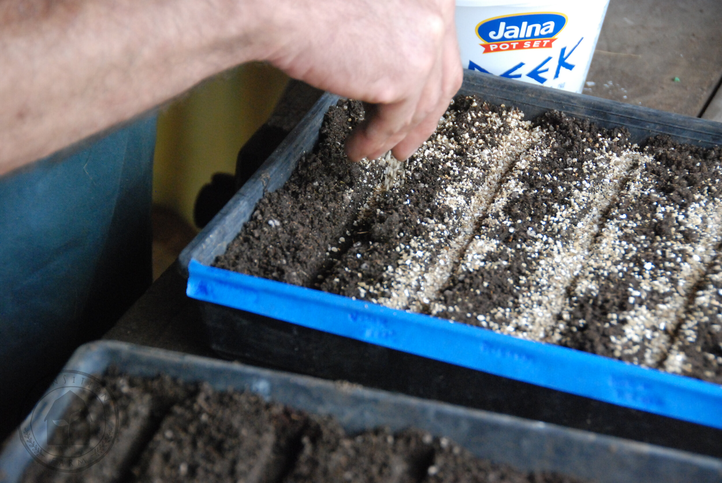   COVER - Cover Seeds With Vermiculite.  As we have created a trench at the correct sowing depth for the seed, we simply cover to the height of the soil.     WATER - Gently water seeds in. Use a hose attachment that allows a gentle shower…(think you 