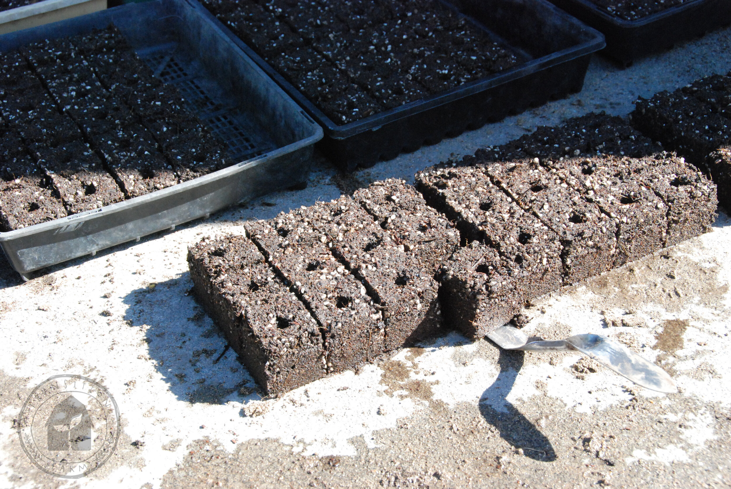   For soil blocks, we have found a full tray is easier to keep evenly moist for raising seedlings.  
