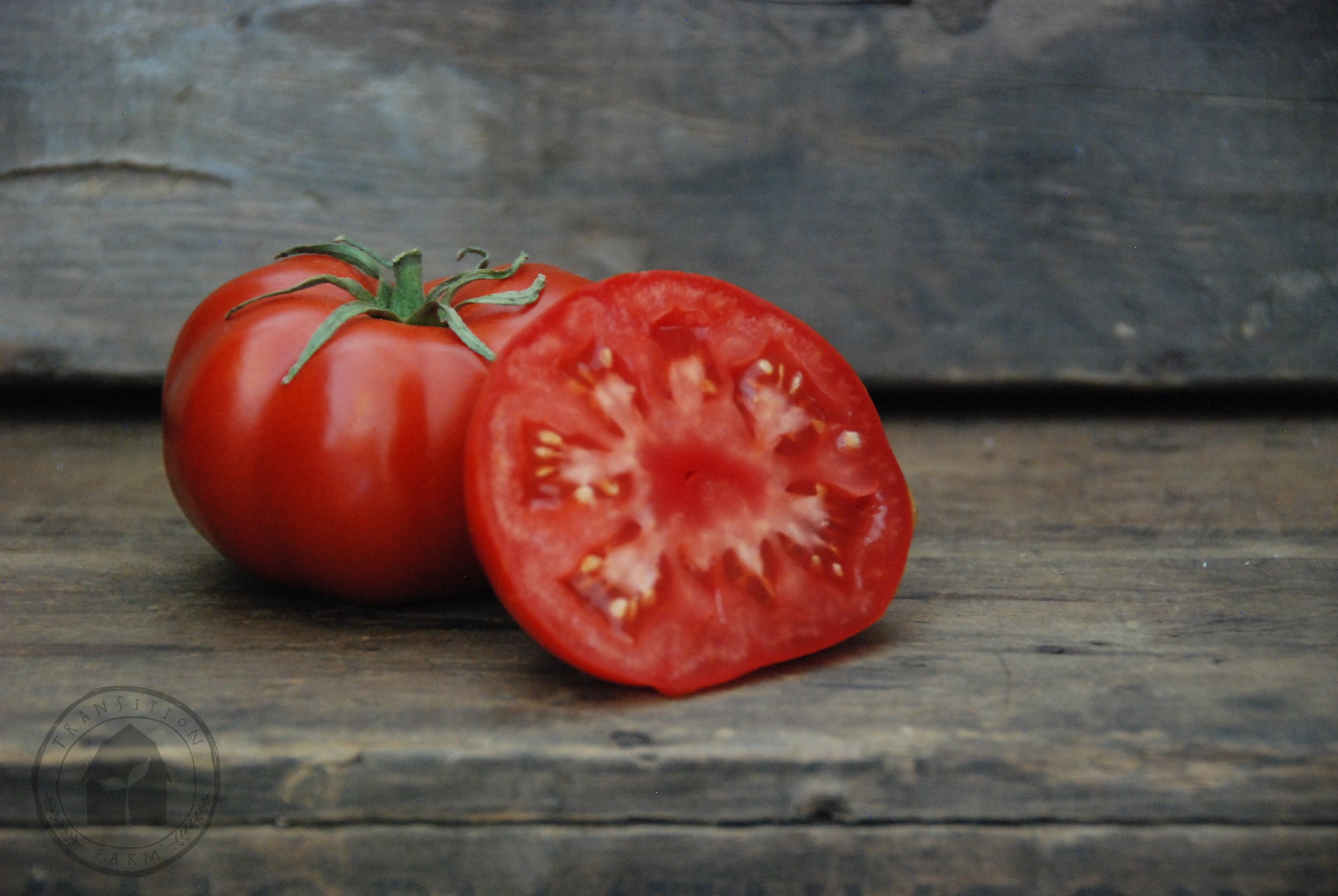Tomato 'Rouge de Marmande' — Transition Farm