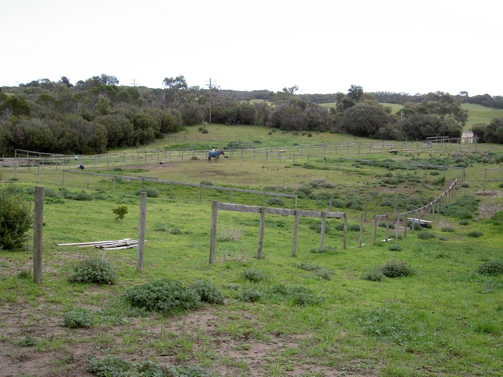 Front Paddock looking west Oct 2007