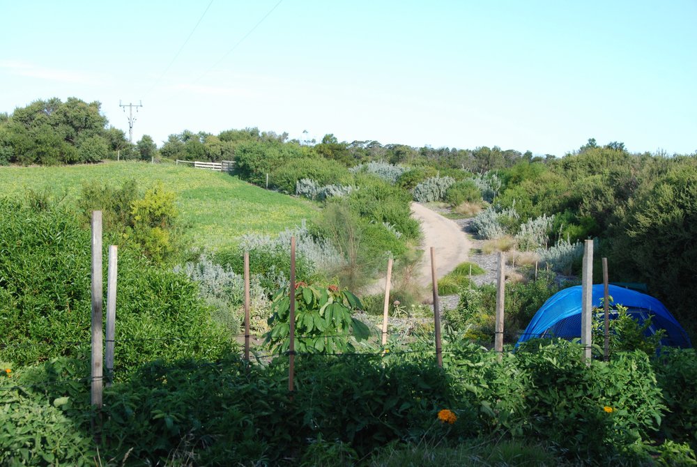 Jan 2012 Looking east from south west corner