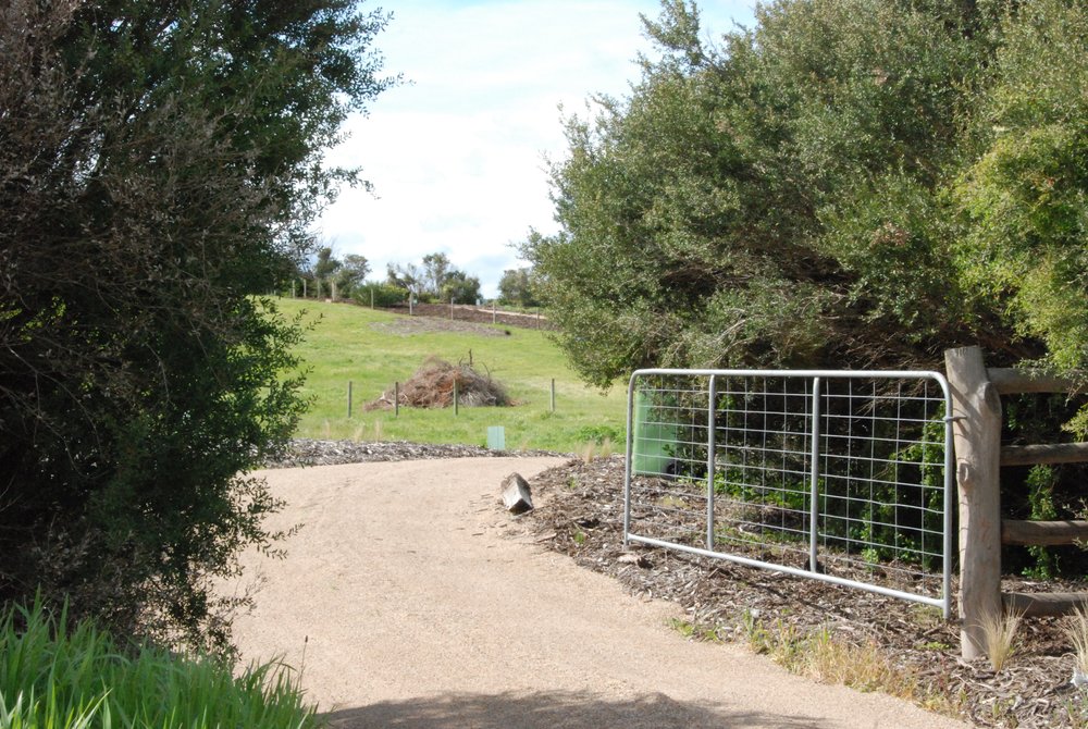 Looking east into the front paddock Sept 2009