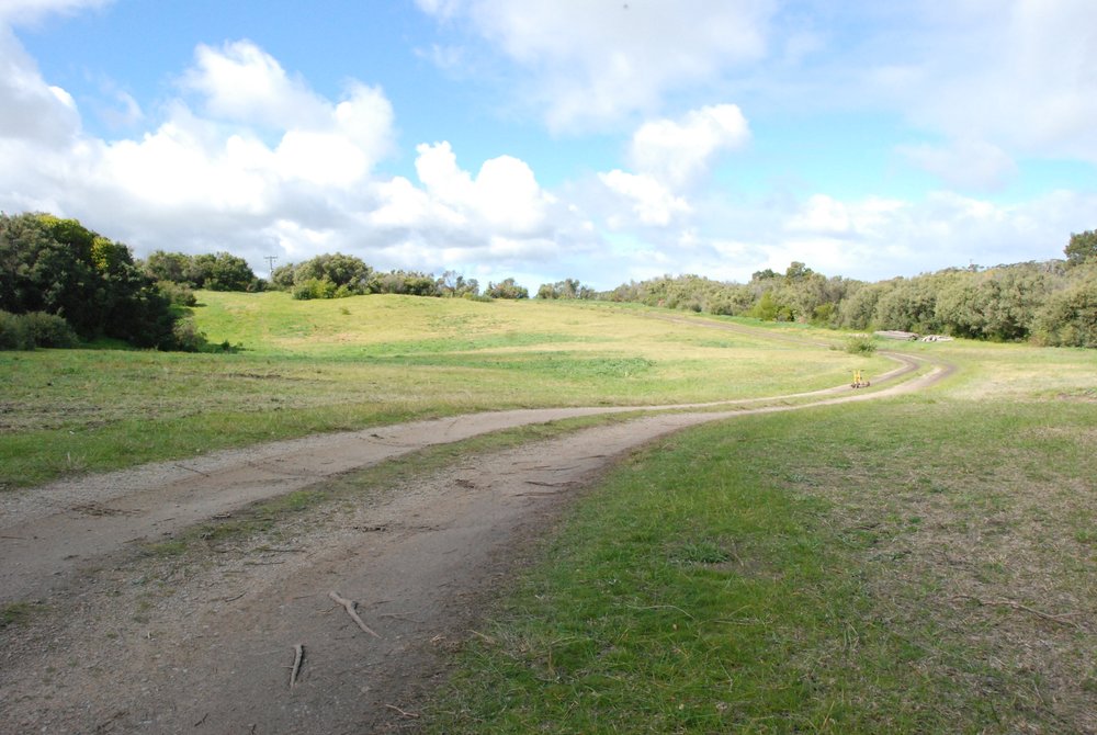 Front Paddock looking east Aug 2008