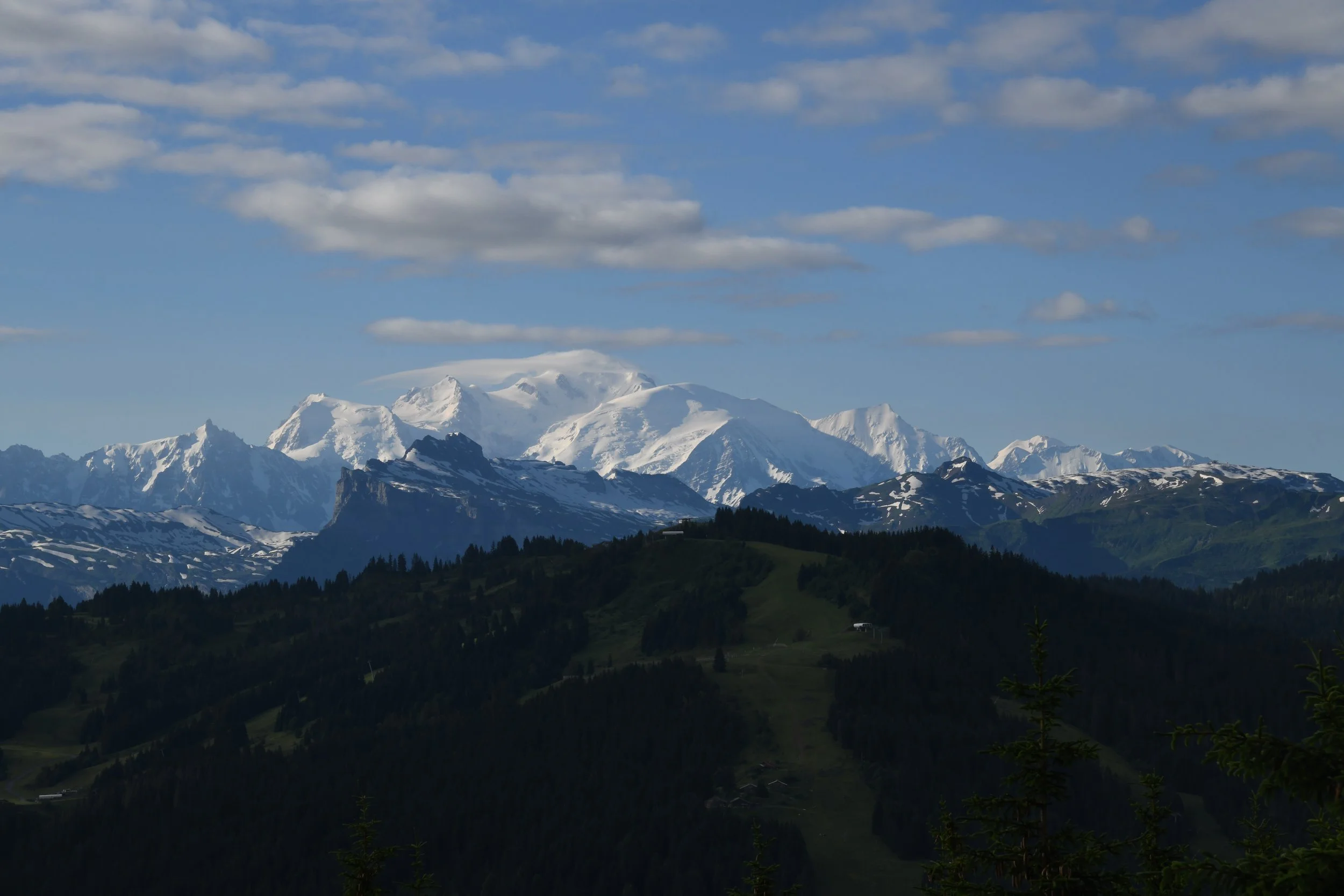 LesGets 2.JPG