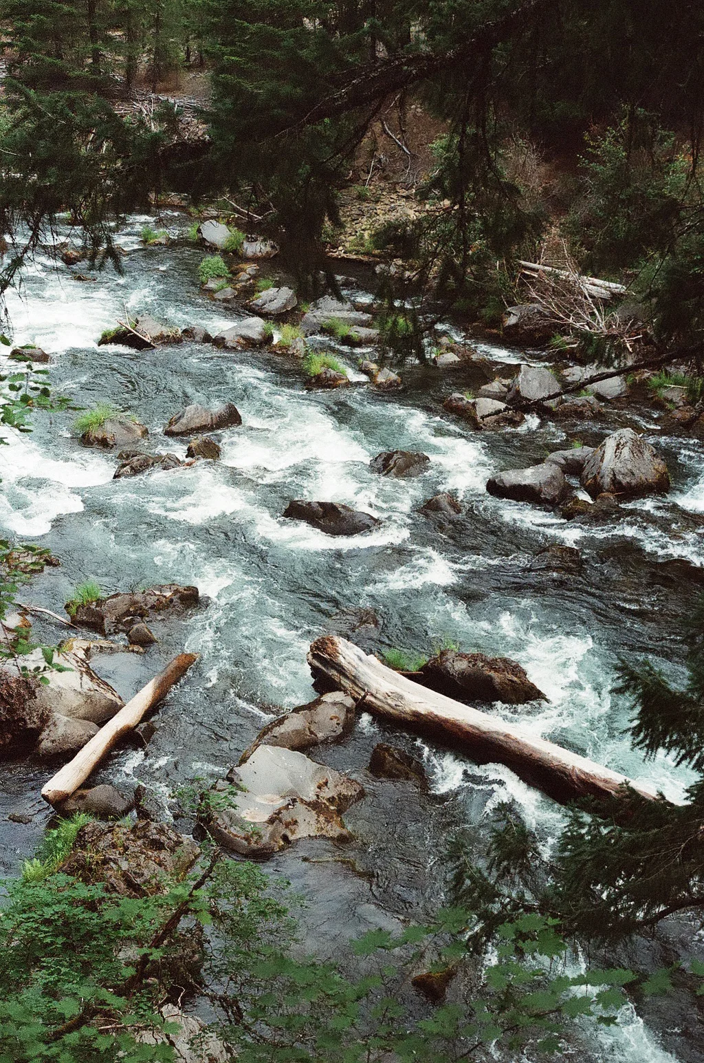 41060019.jpg