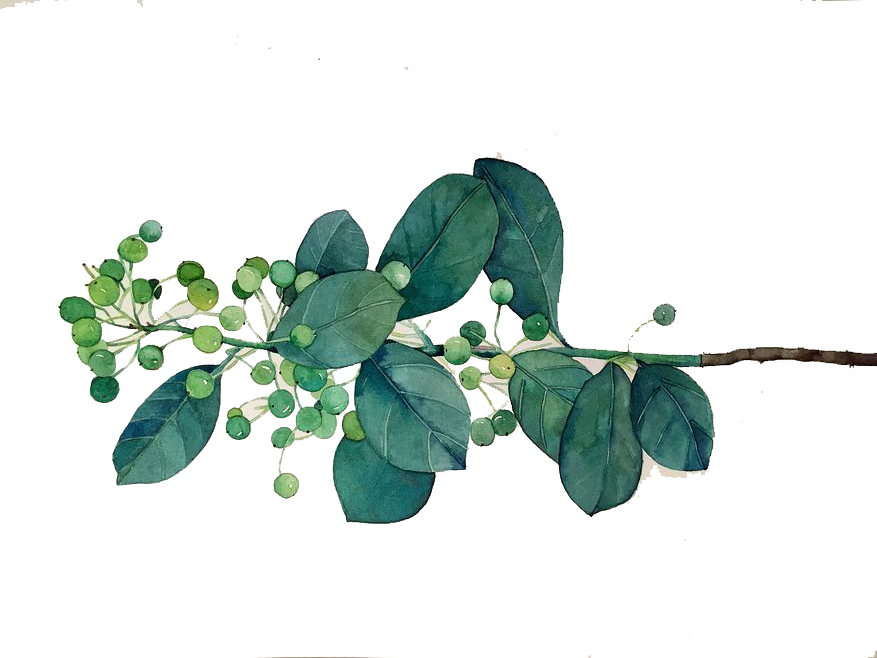 98da78b330cea02dc0b36d885595f1b4.png