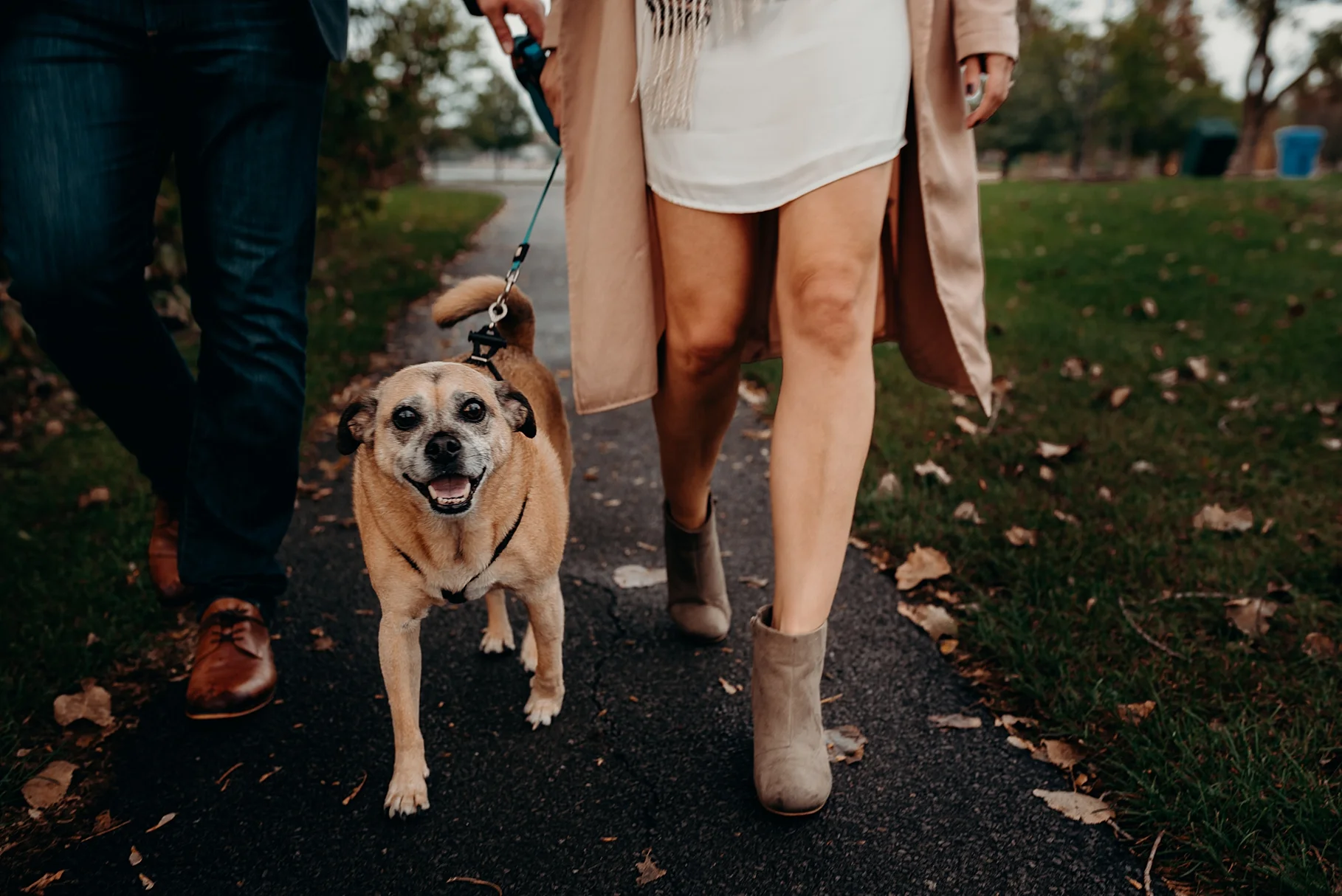 Bringing your Dog or Cat to an engagement session. Mocha Tree Studios Ottawa Toronto Montreal Wedding and Engagement Photographer and Videographer Dark Moody Intimate Authentic Modern Romantic Cinematic Best Candid 11