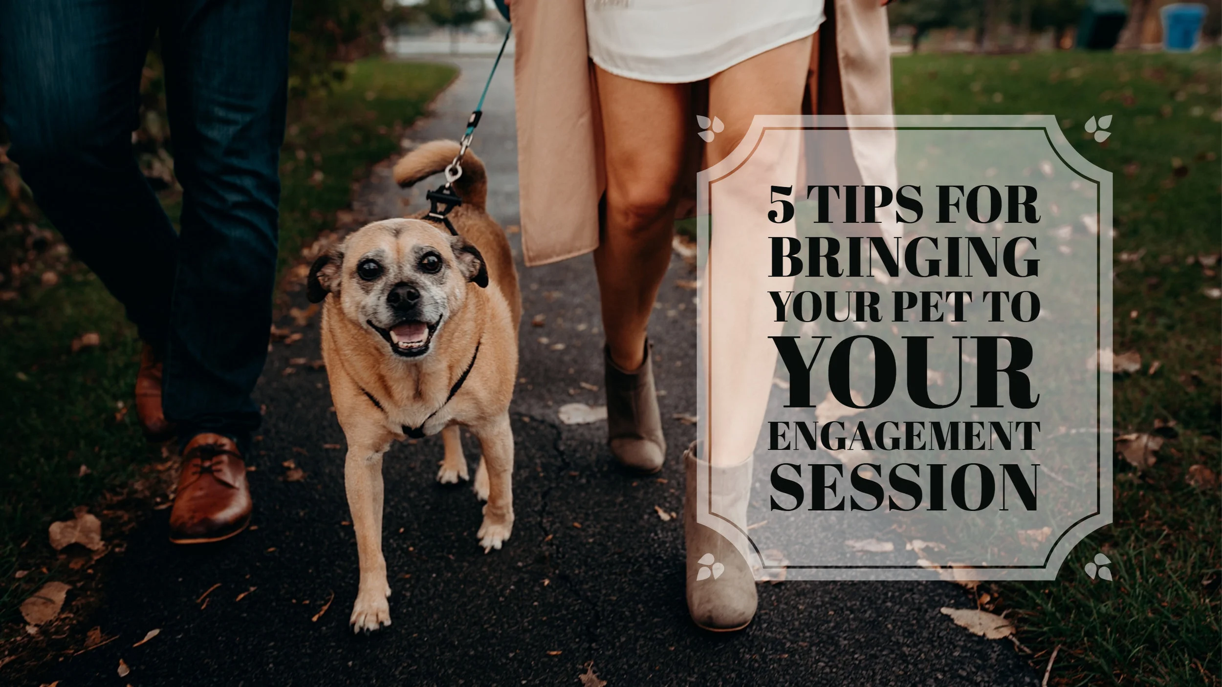 5 Tips for Bringing Your Pet to Your Engagement Session