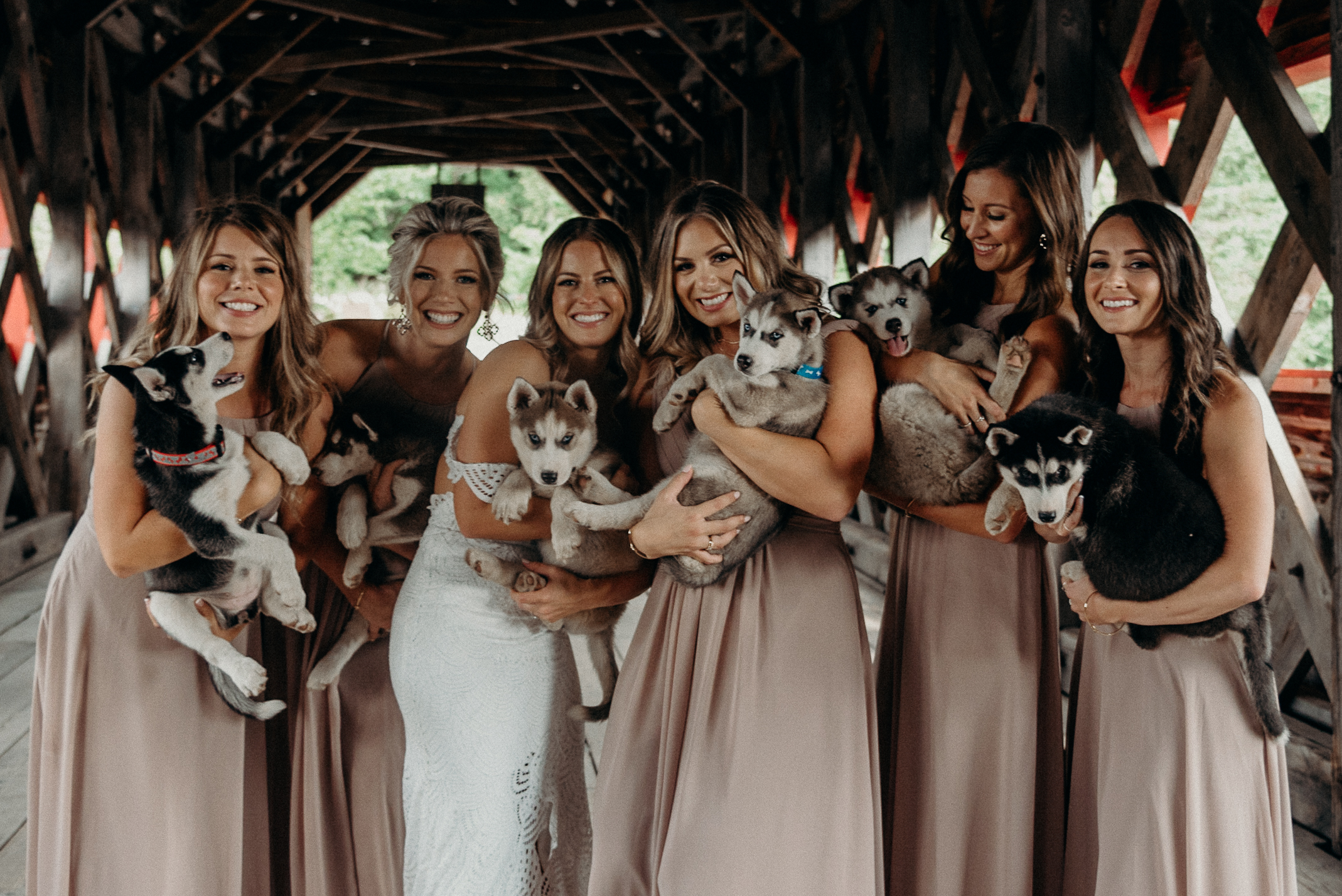 Puppies and Bridesmaids LeBelvedere