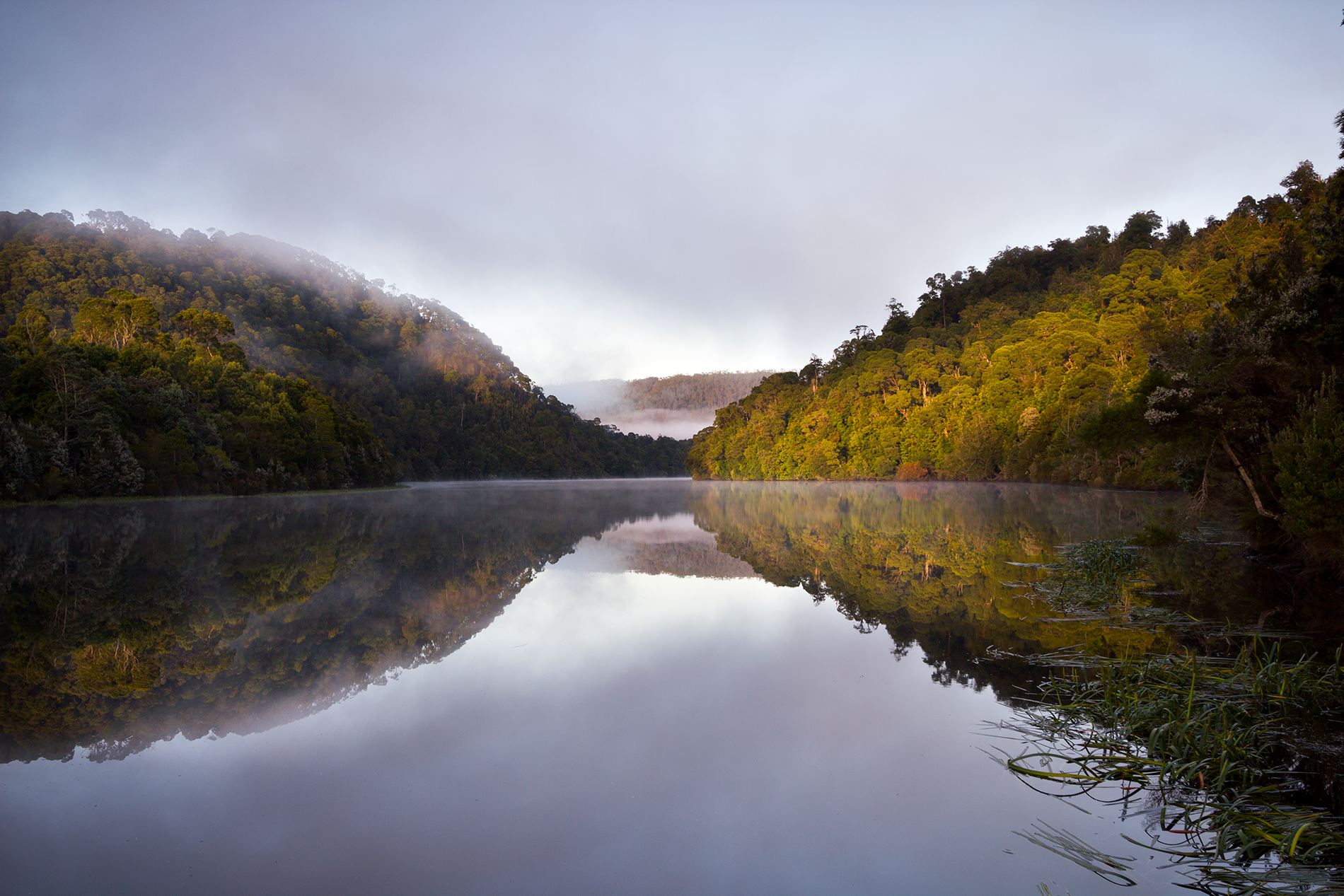 _MG_0437.png