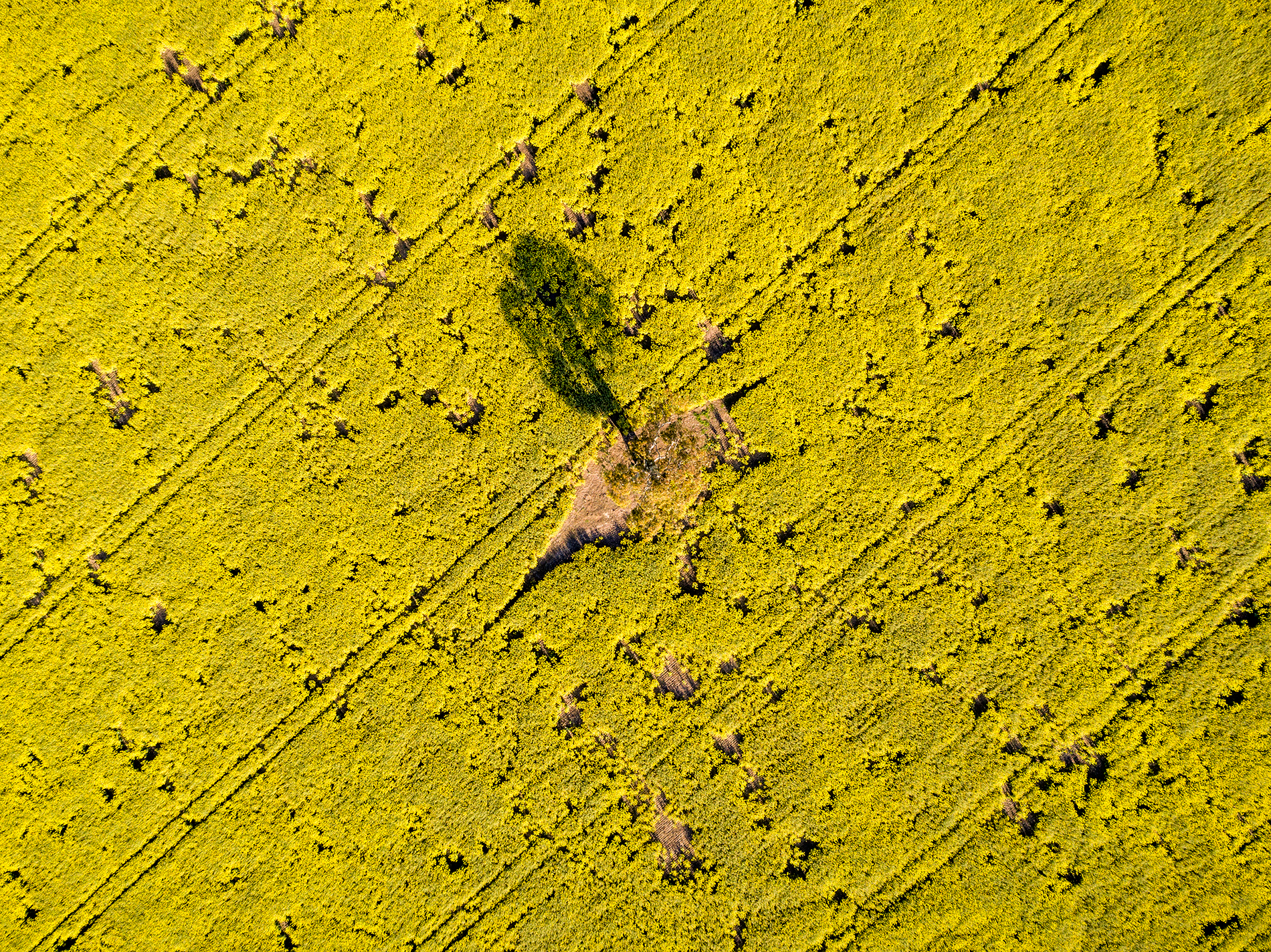 DJI_0014.png