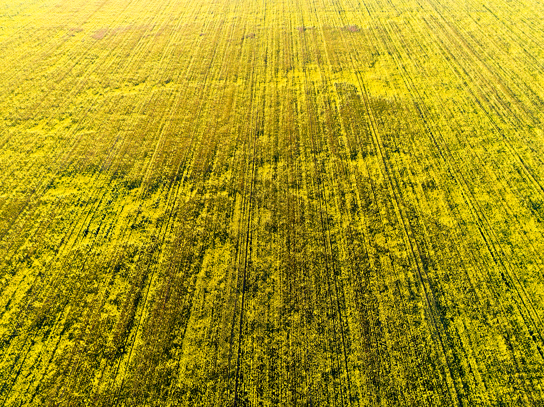 DJI_0547.png