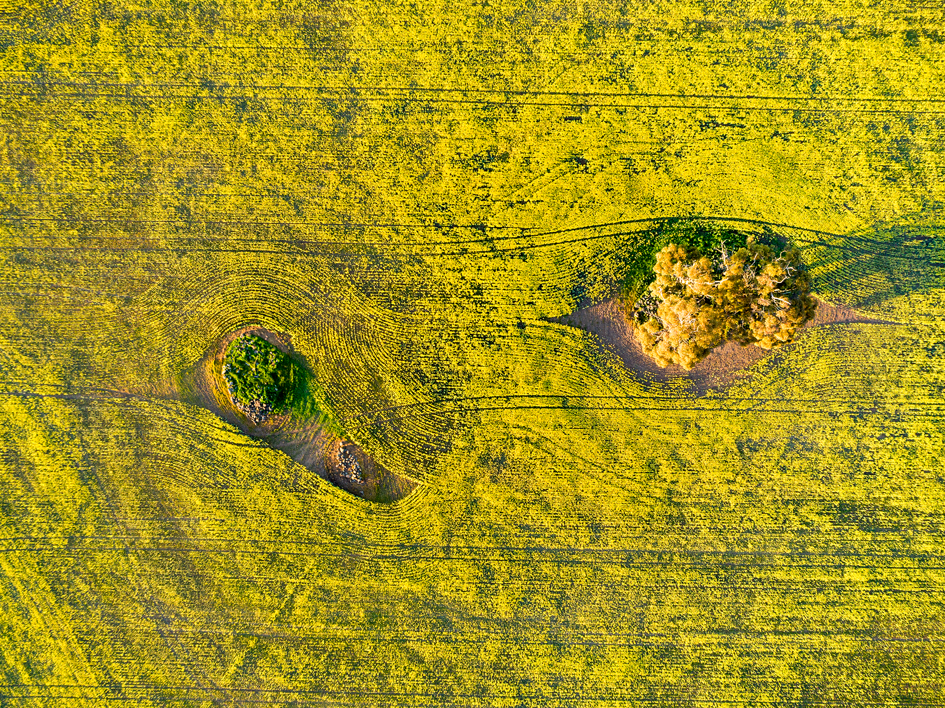 DJI_0546.png