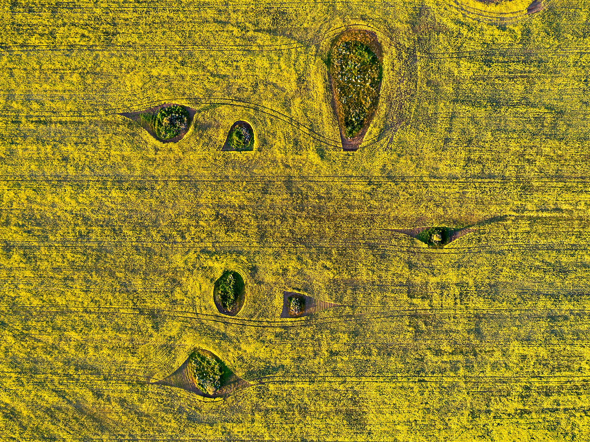 DJI_0542.png