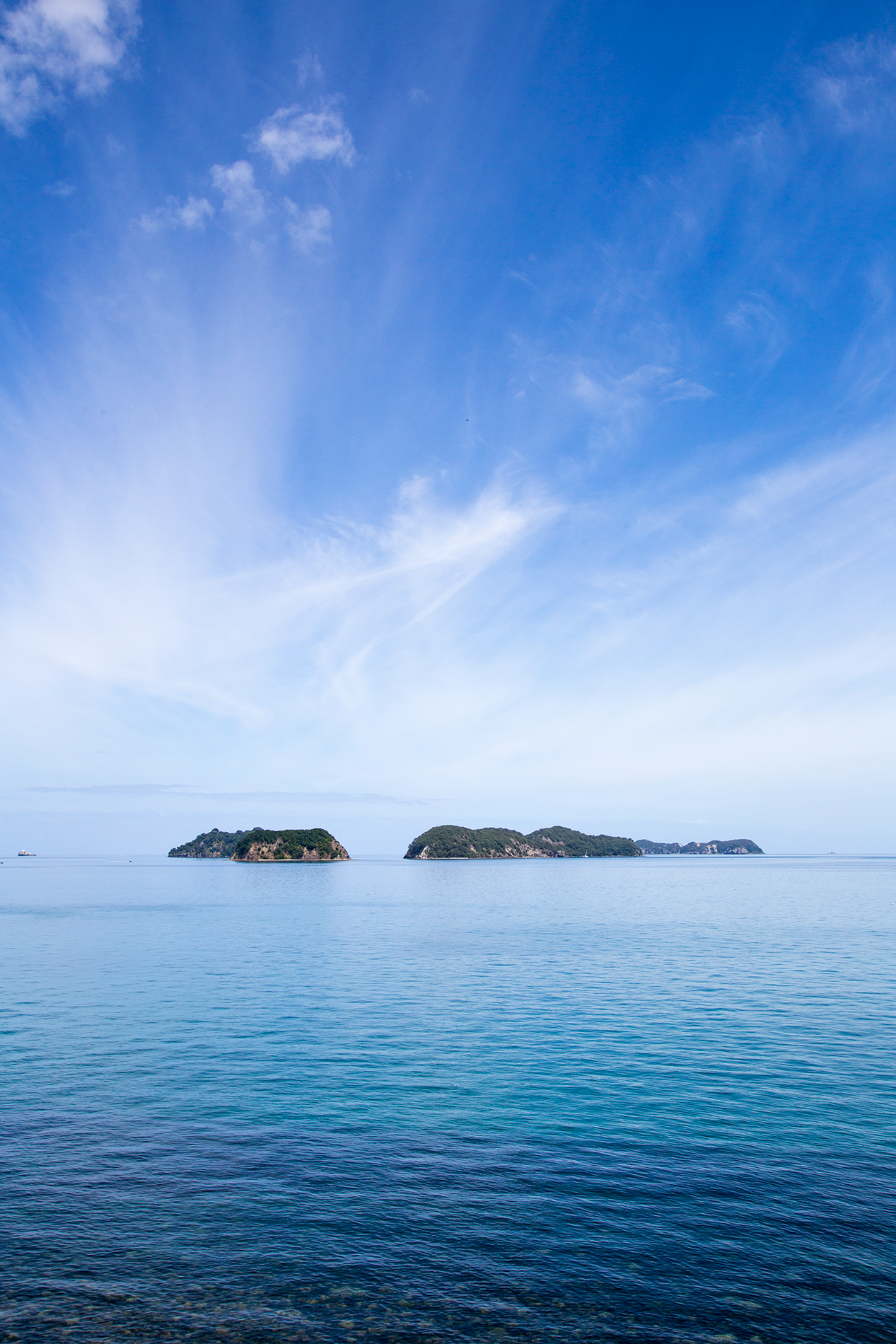 Amodeo_Bay_1.png