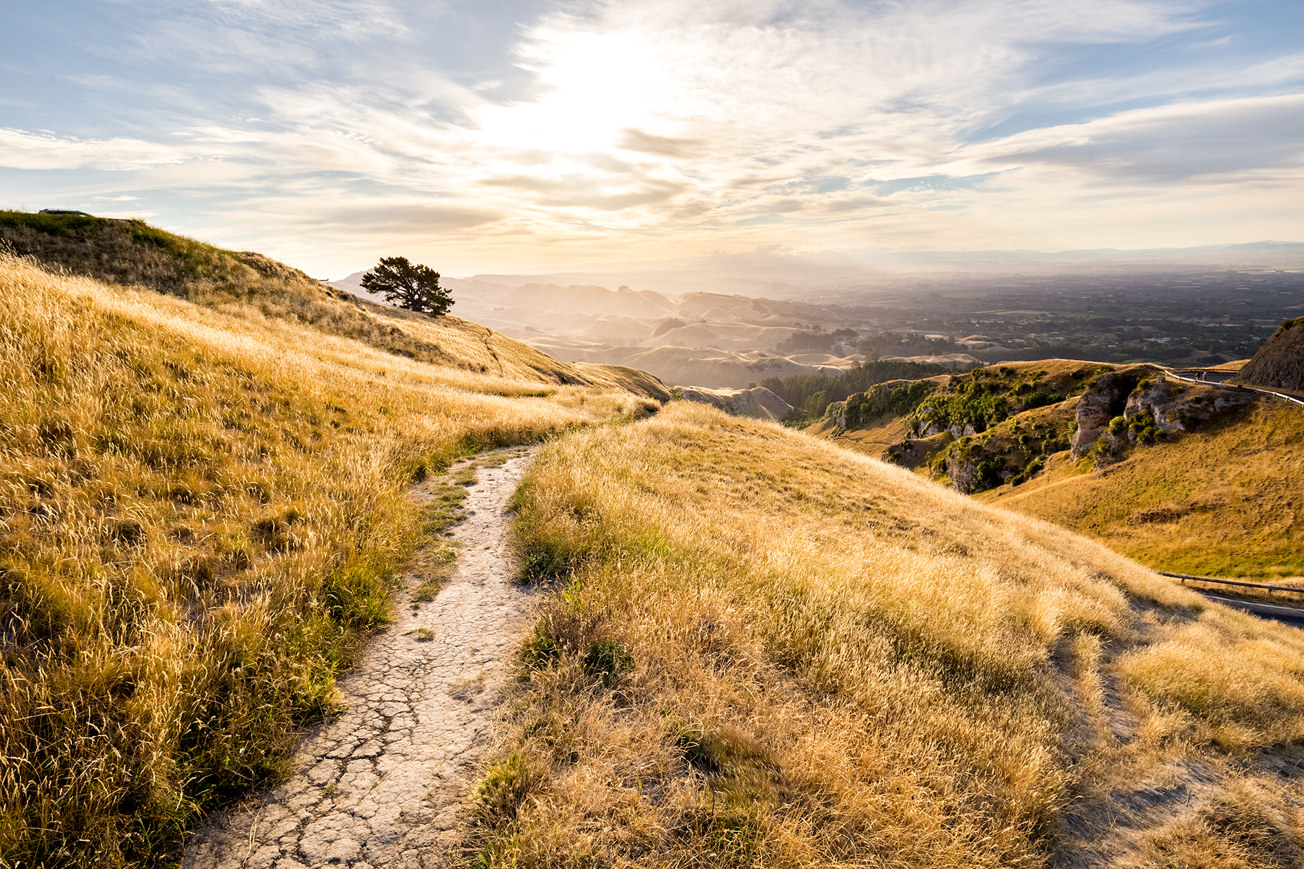 Te_Mata_Peak_3.png
