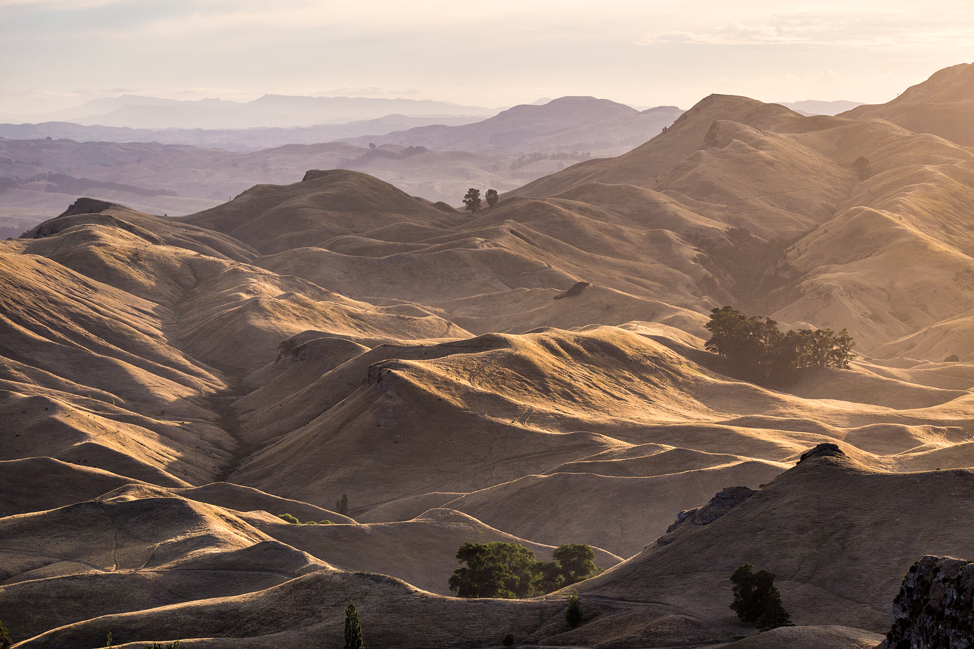 Te_Mata_Peak_5.png