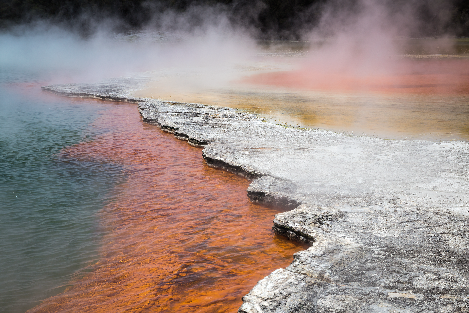 Wai_O_Tapu_1.png