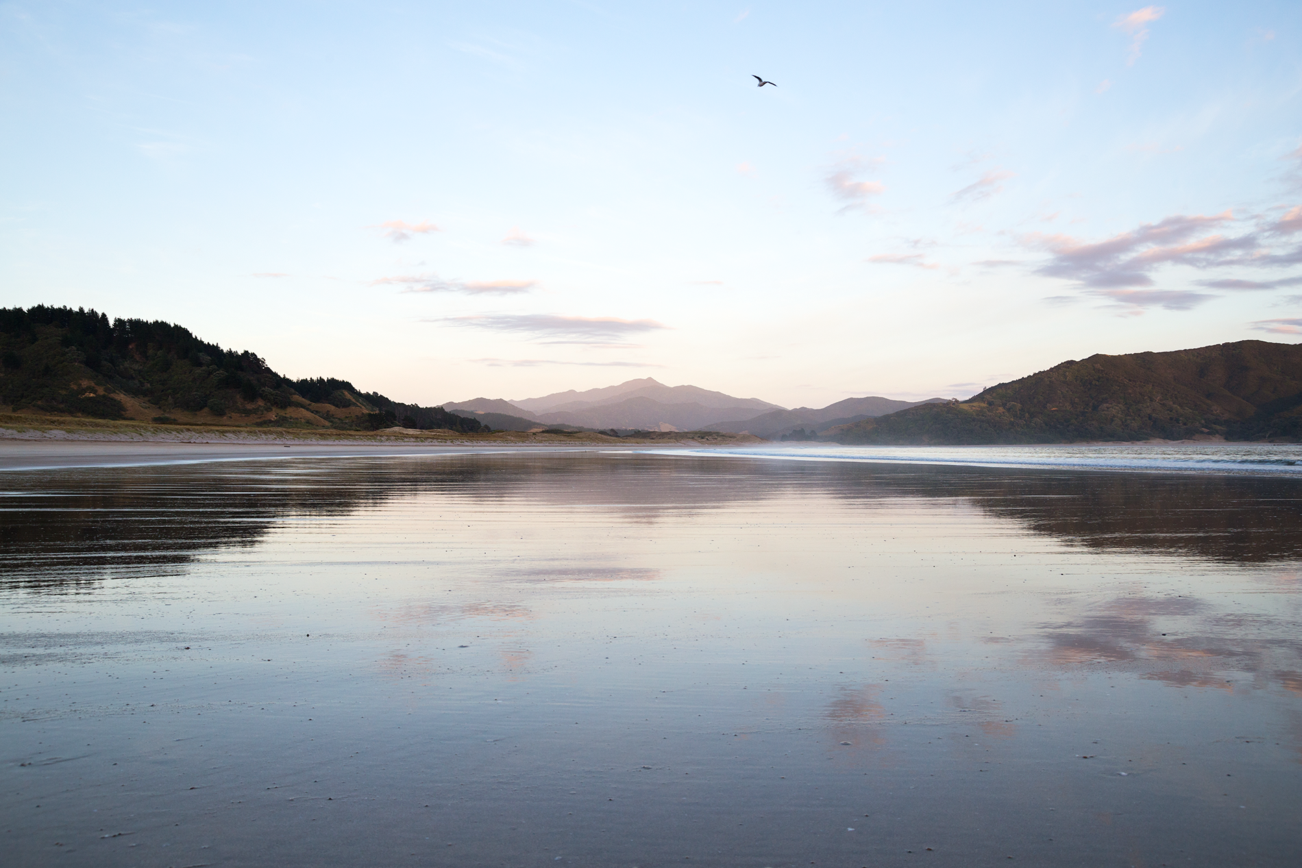 Waikawau_Bay_1.png