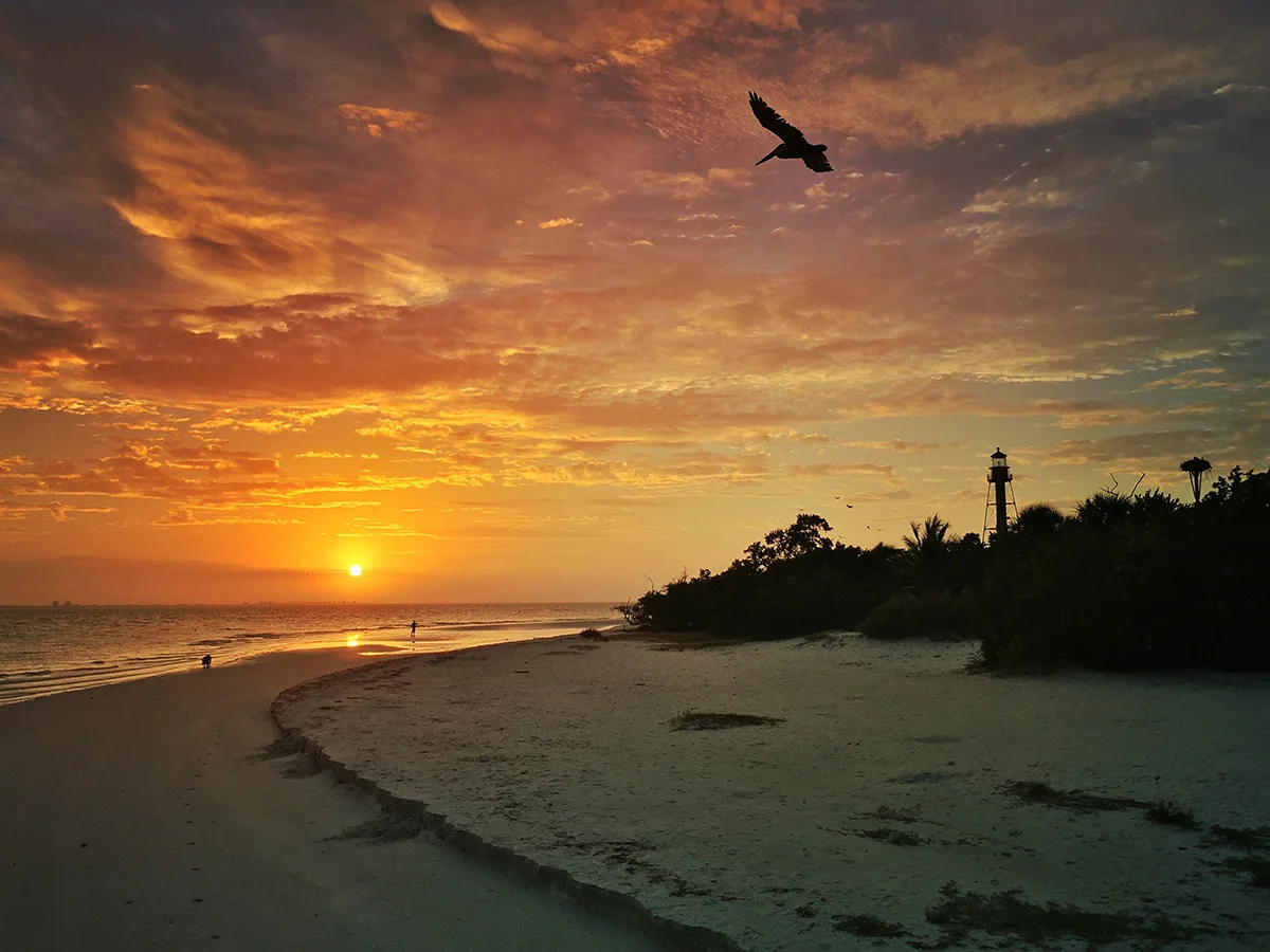 Sanibel Sunrise. Golden hour photography © Adrian McGarry.