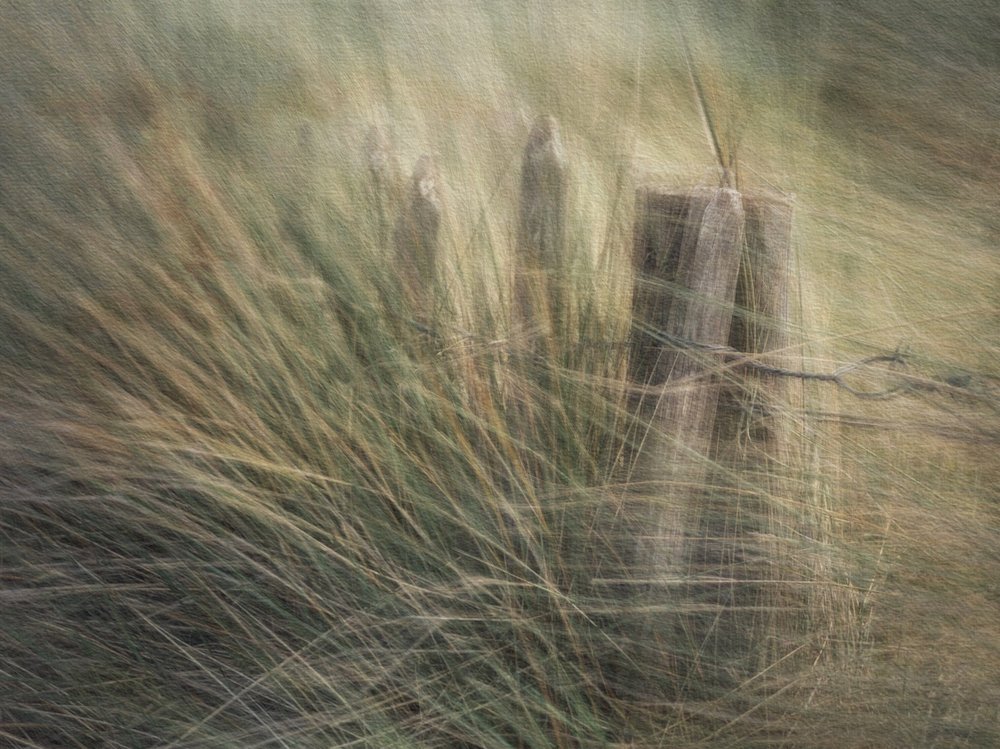 Against The Fence © Adrian McGarry