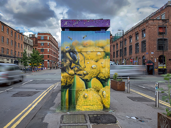stevenson-square-bee.jpg