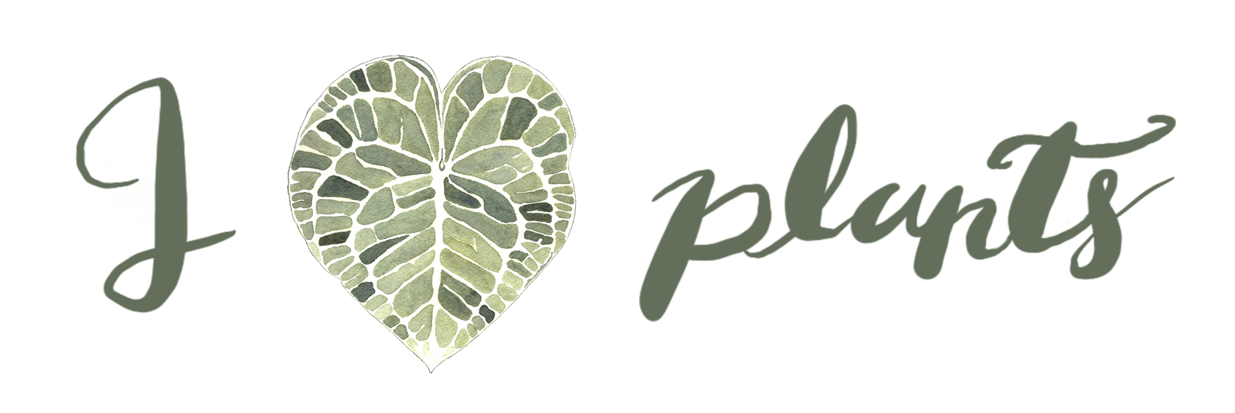 Amor por las plantas