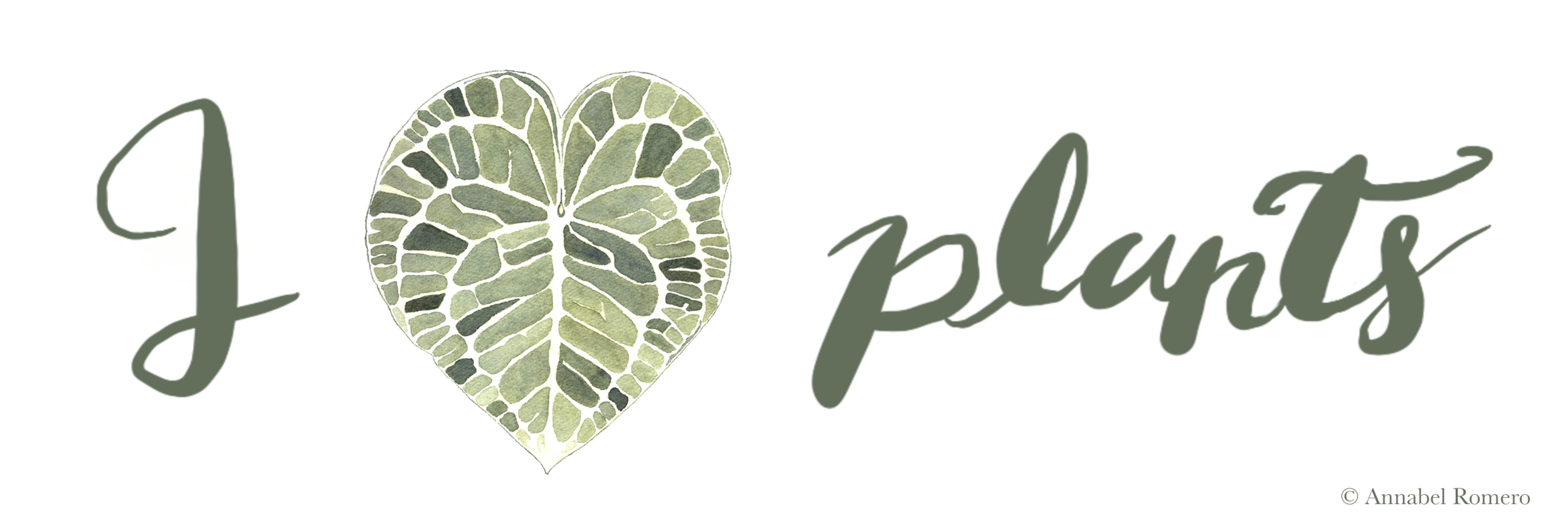 I love plants