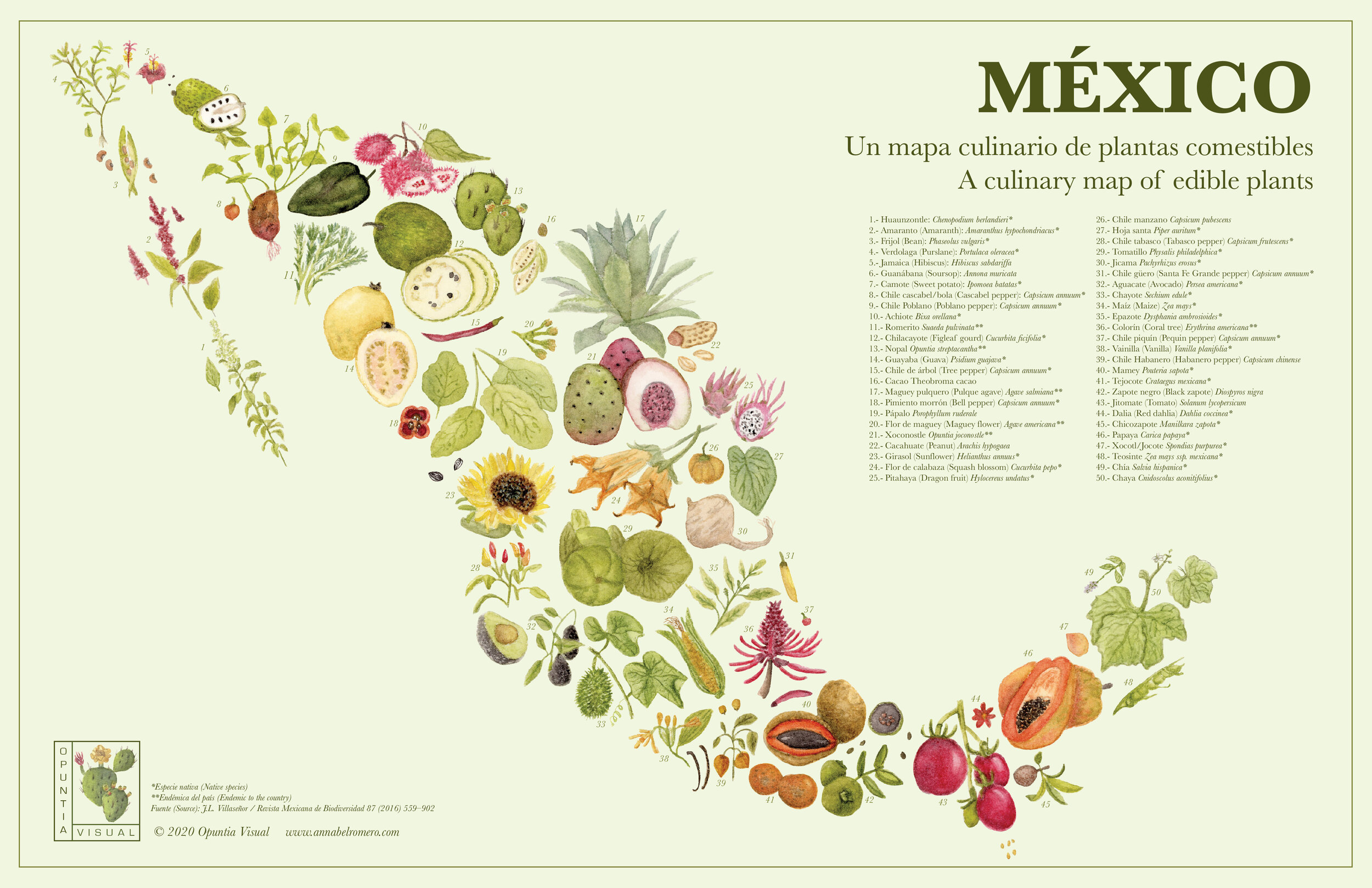 Mexico map