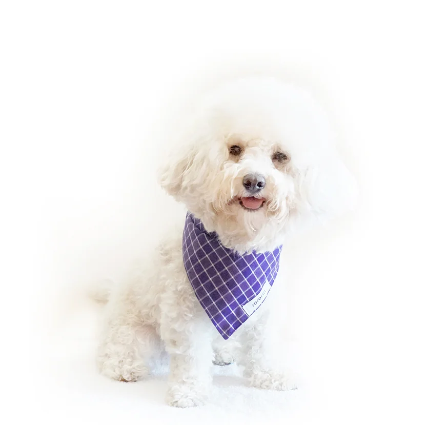 bandana_Randy copy.jpg