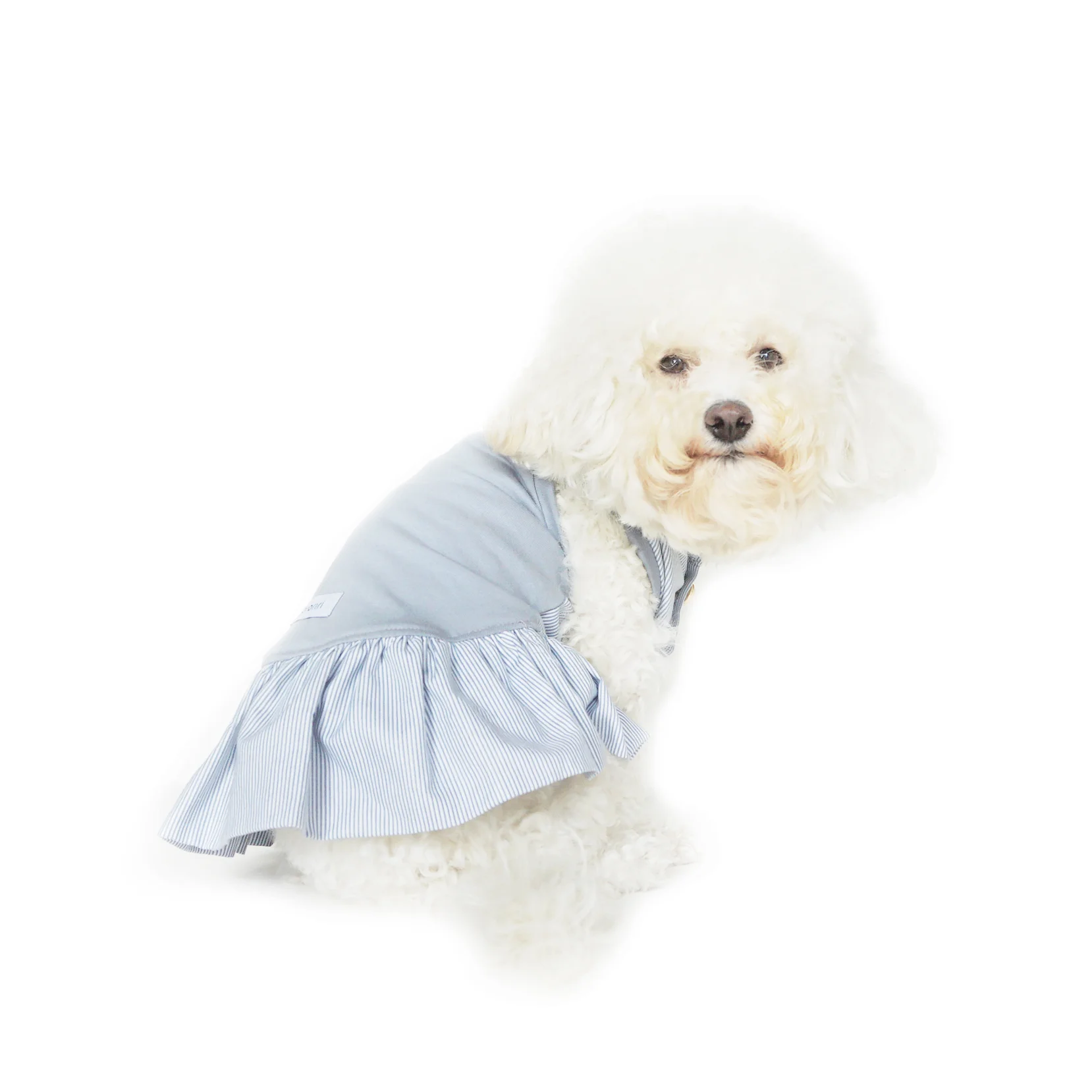 dress_charlotte_c.jpg